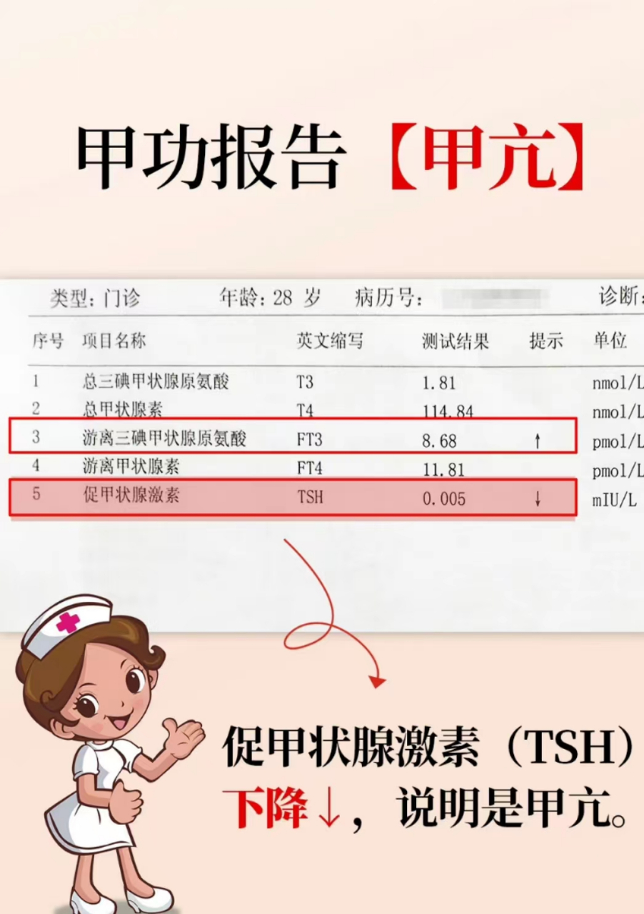 甲功报告不会看?