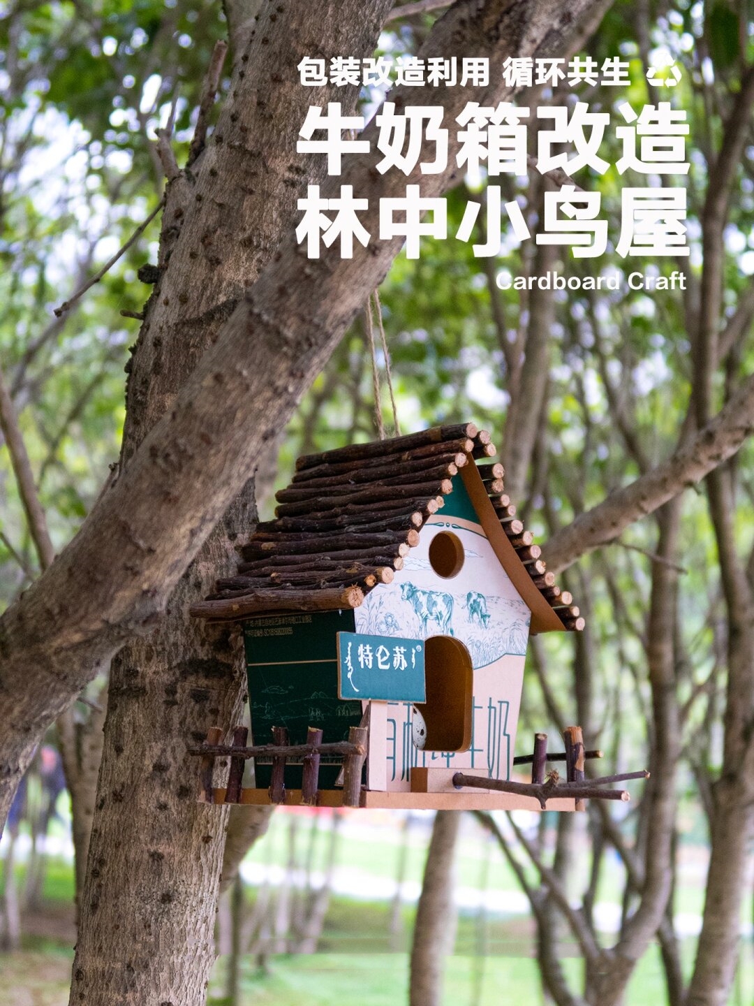 循环利用牛奶纸箱改造一间鸟屋