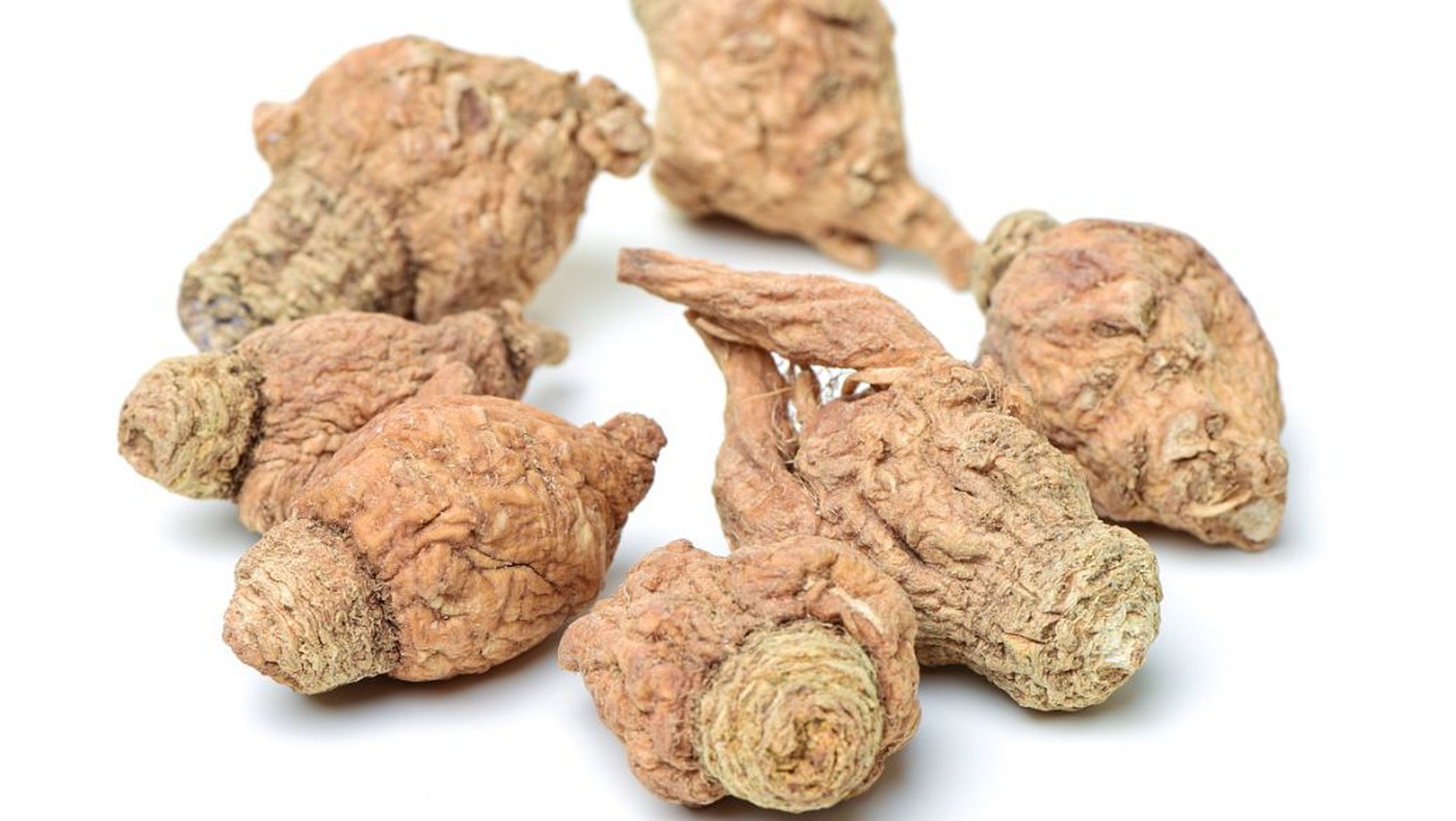 中药山慈菇功效解析:清热解毒,化痰散结【仅供参考】  中药山慈菇:甘