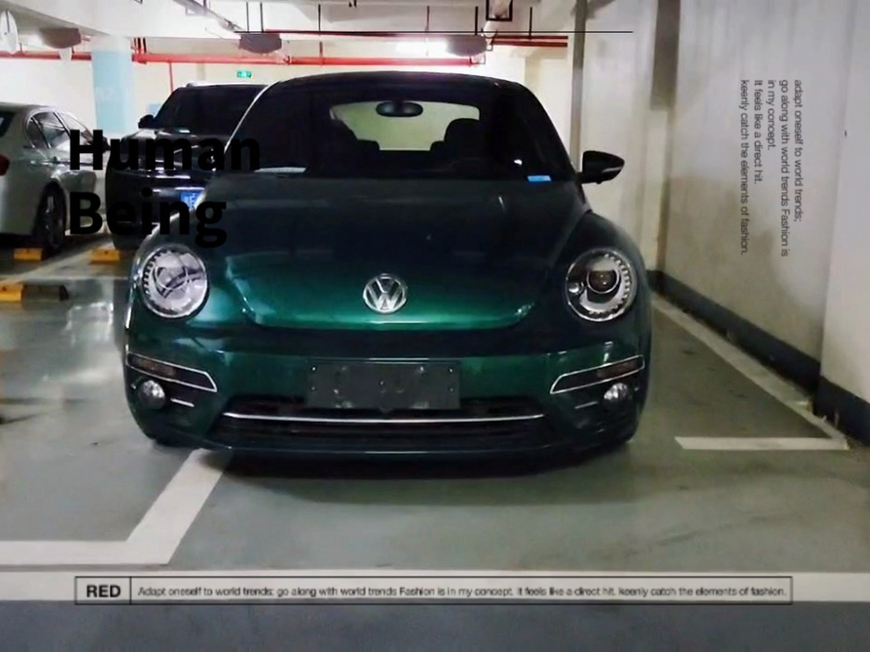 早安翡冷翠甲壳虫 开心就要咔次咔次[双手鼓掌] 新到翡冷翠甲壳虫,17