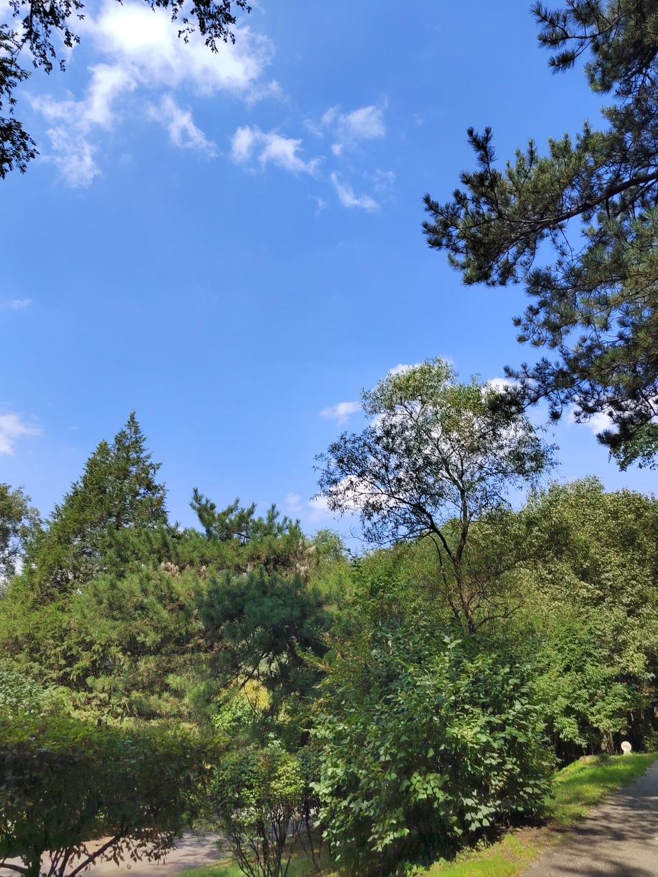 天然氧吧,辽宁省抚顺市萨尔浒风景区#振兴新突破辽宁杠杠滴# #贯彻二