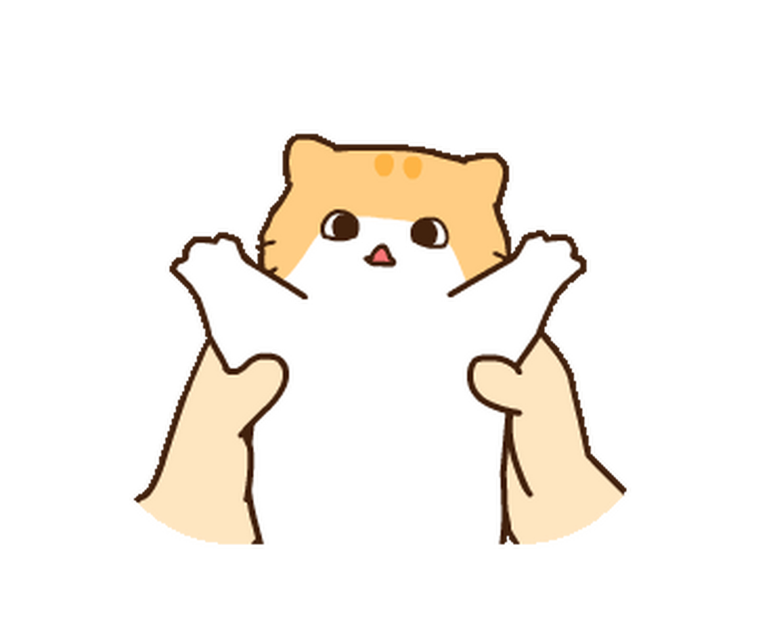 line表情包丨小橘猫表情包