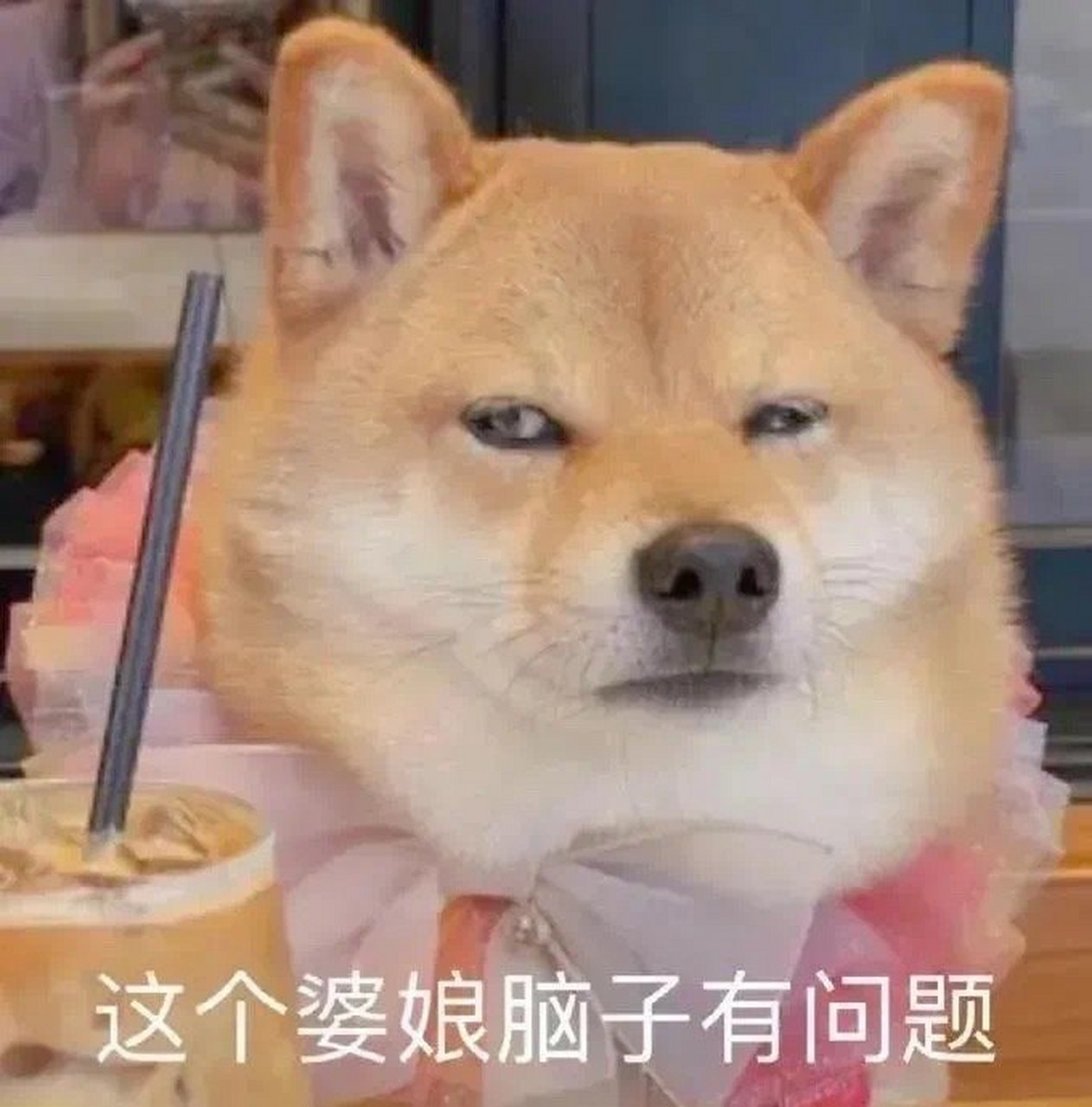我真是个小天才