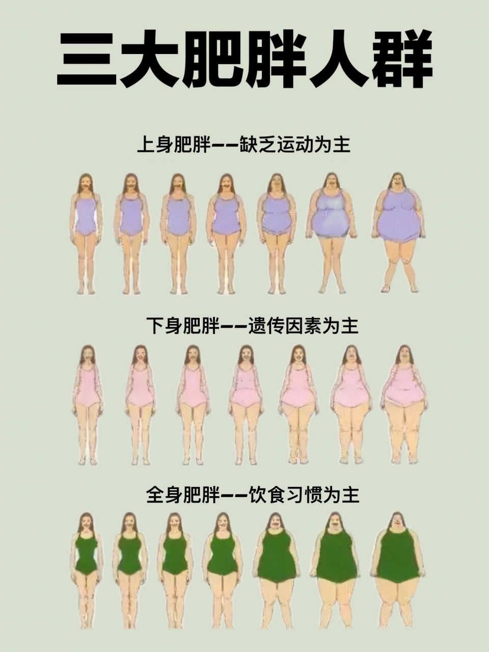 肥胖的几种体型图片图片