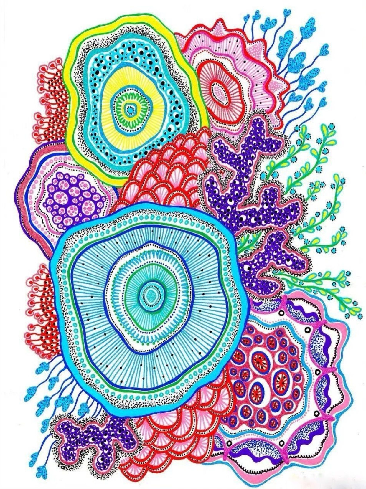 以下是关于珊瑚线描绘画的一些基本技巧和建议: