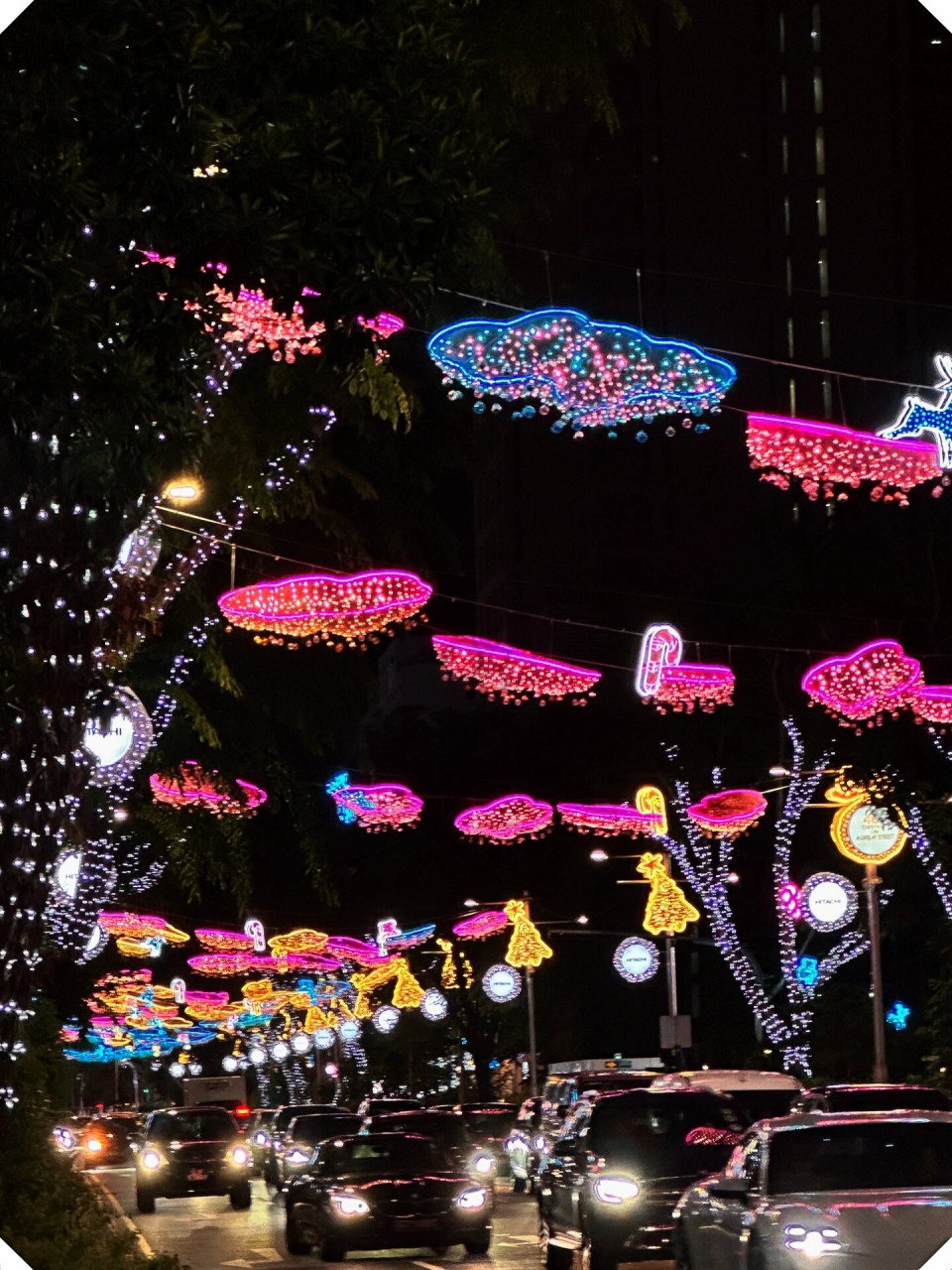 9492 乌节路 夜景view好治愈  晚上的乌节路夜景敲好看好拍, lv的