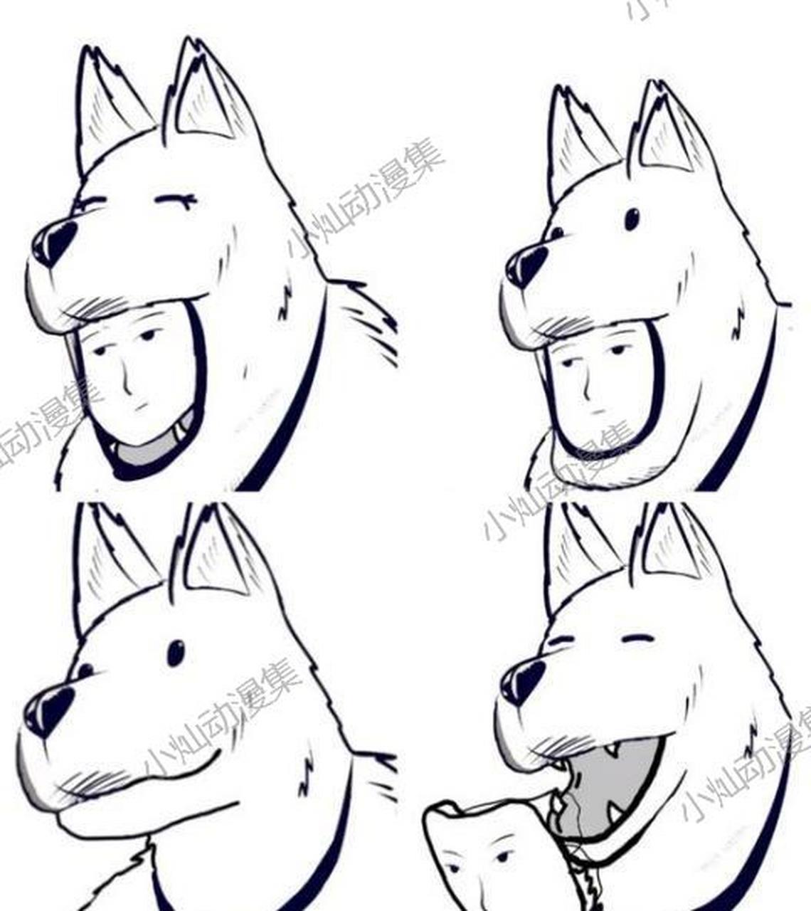 拳击手:嘿,你们觉得警犬侠有没有成为s级英雄的潜力啊?