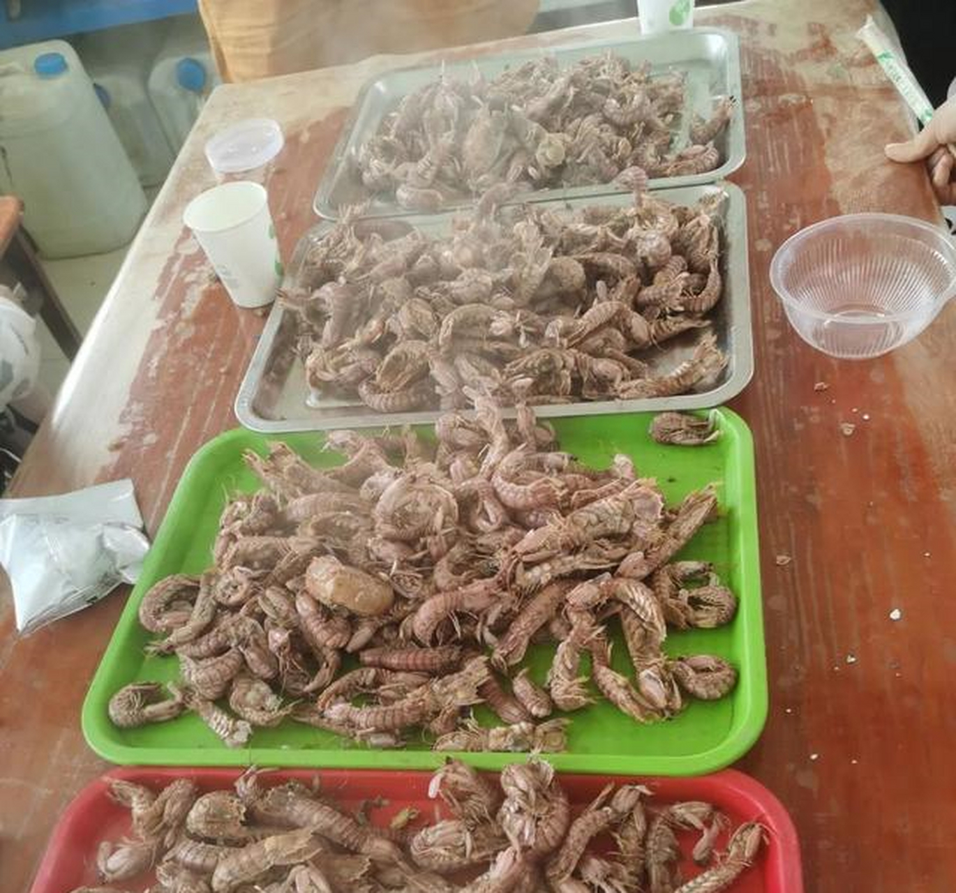 中心渔港码头位置:天津市滨海新区鲤鱼门路