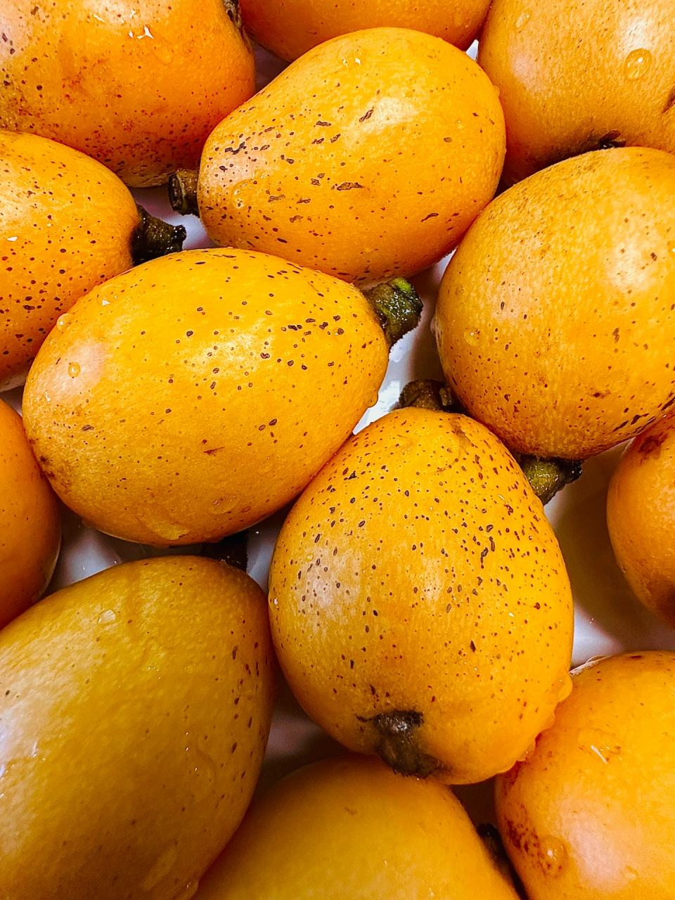 今日份水果,满满一盘枇杷哦!