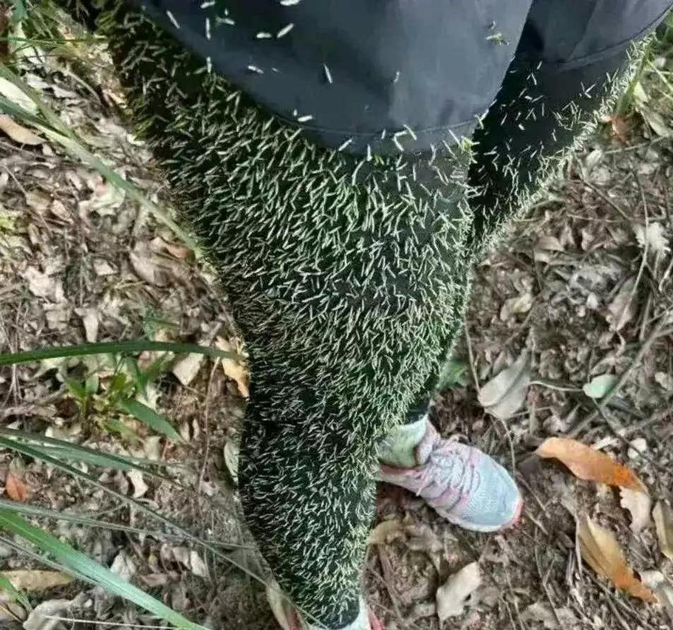 和小姨子爬山真好玩 #趣图搞笑