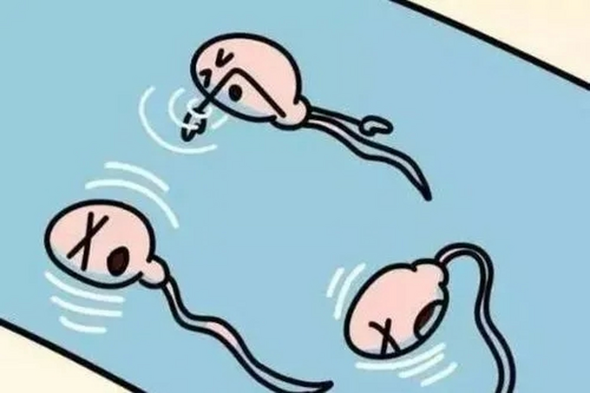 活灵活现!精子成果冻状是什么原因"一往无前"-第1张图片-贺发网