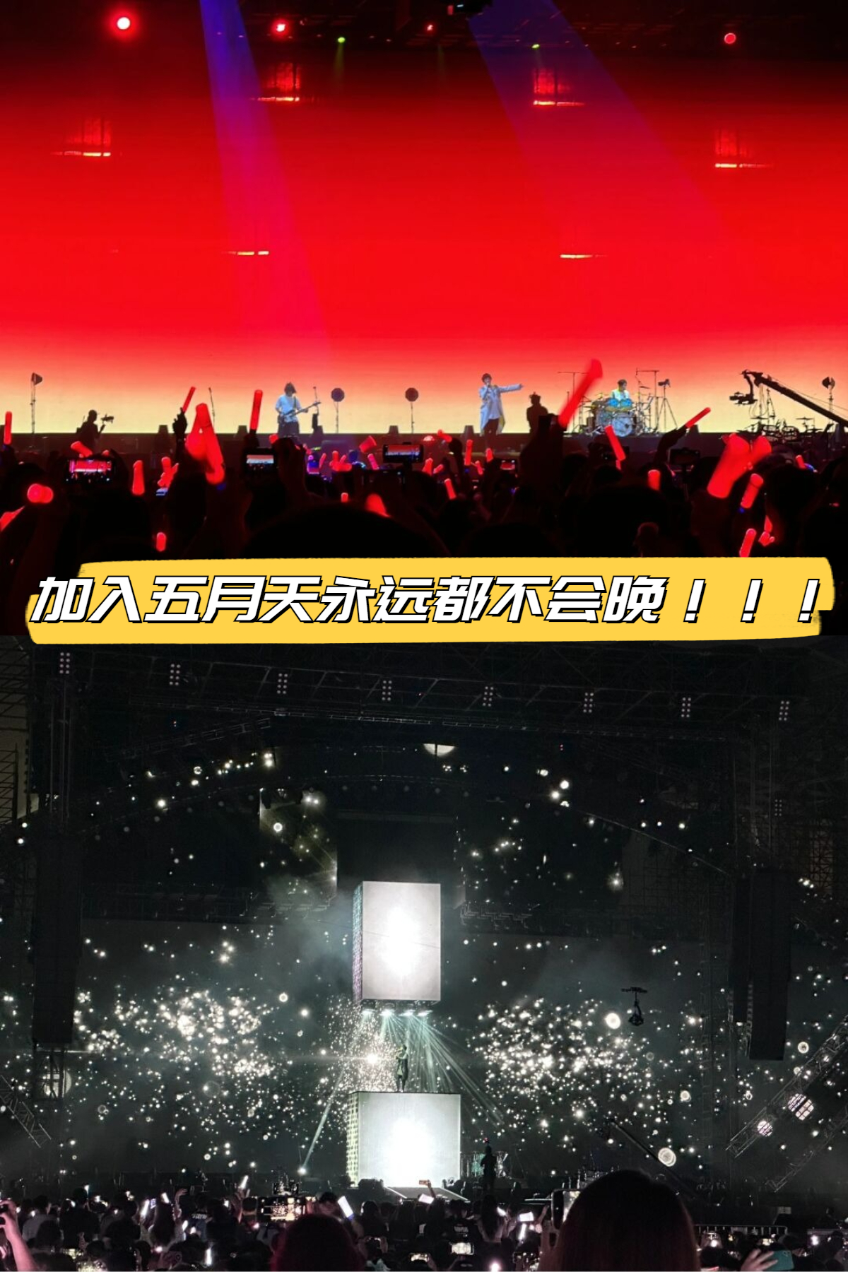 wonderful night这首歌就像一道魔法让我陷入了情感的漩涡