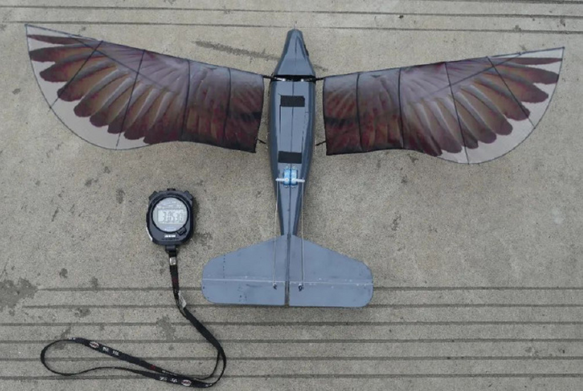 鸟类伴飞】 据央视军事报道,近日,西北工业大学仿生飞行器研究团队