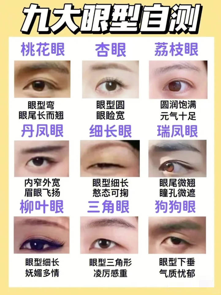 一张图看懂九种眼睛形状,哪个最好看?