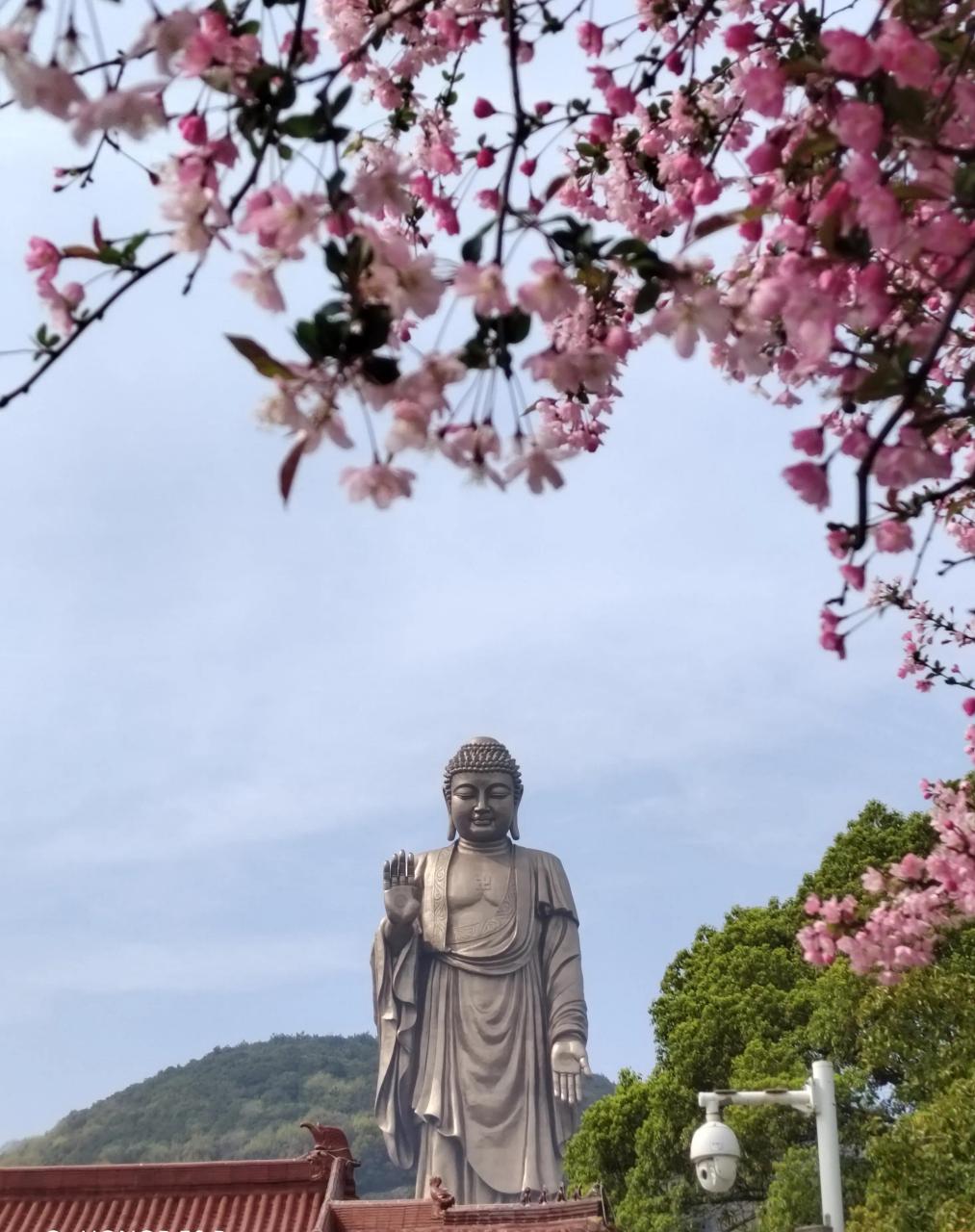 参拜无锡灵山大佛,拈花湾的灯光秀.确实是让人非常的震撼.民宿便宜.