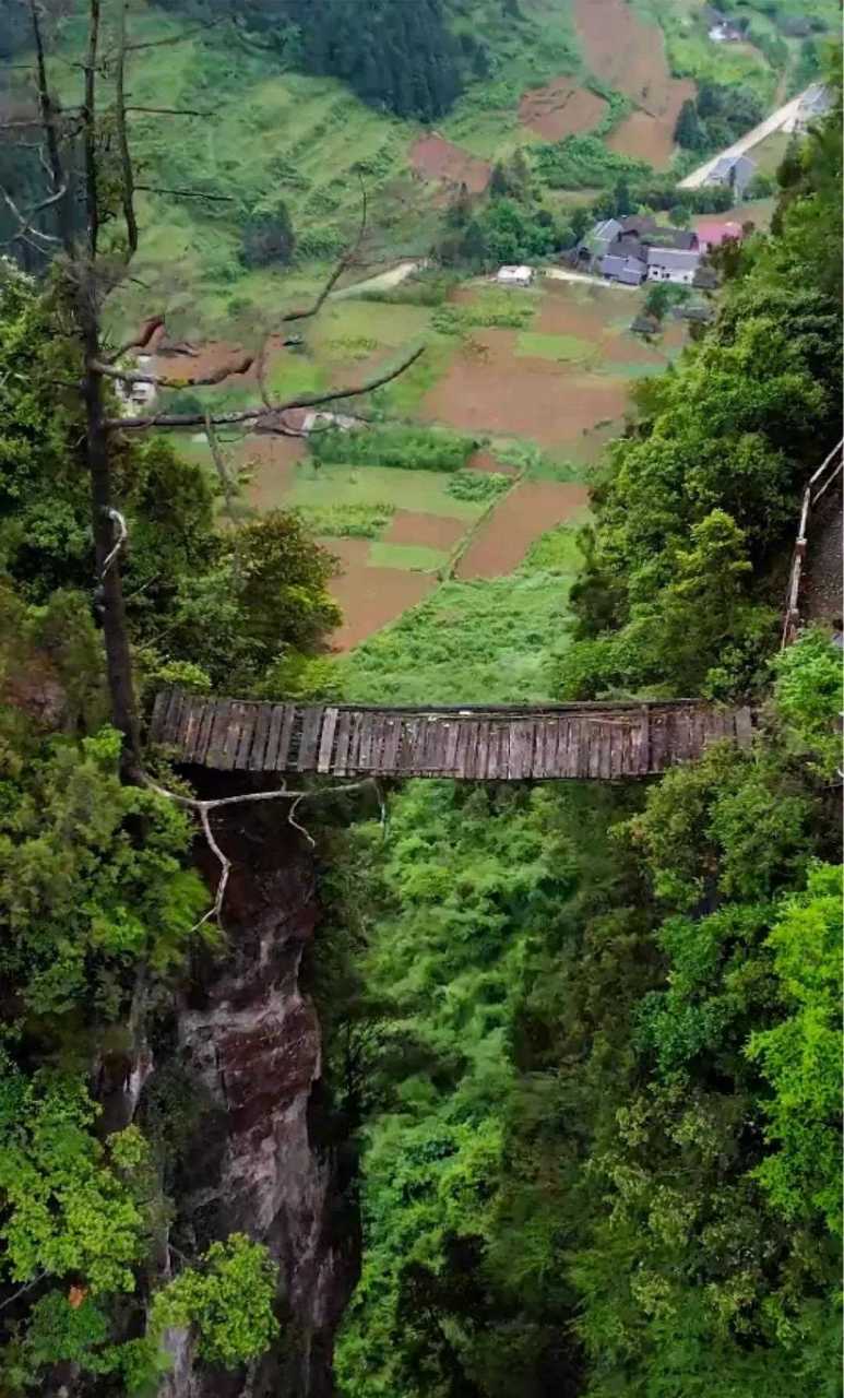 贵州深山发现一座腐烂几百年的悬铁独木桥,凌空飞架,在两座高达800米