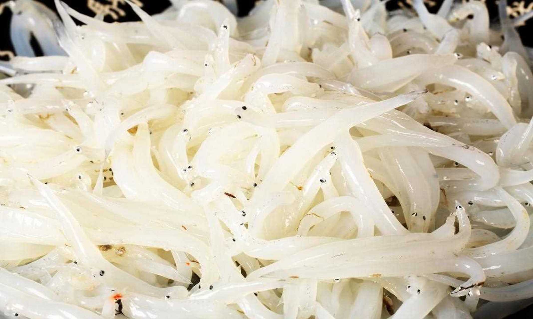 【食材选购】如何挑选新鲜银鱼[得意] 新鲜银鱼以洁白如银而且身体