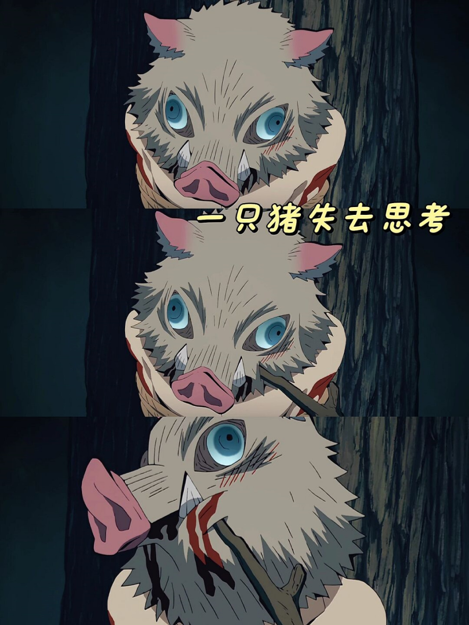 【鬼灭之刃】猪猪有什么错