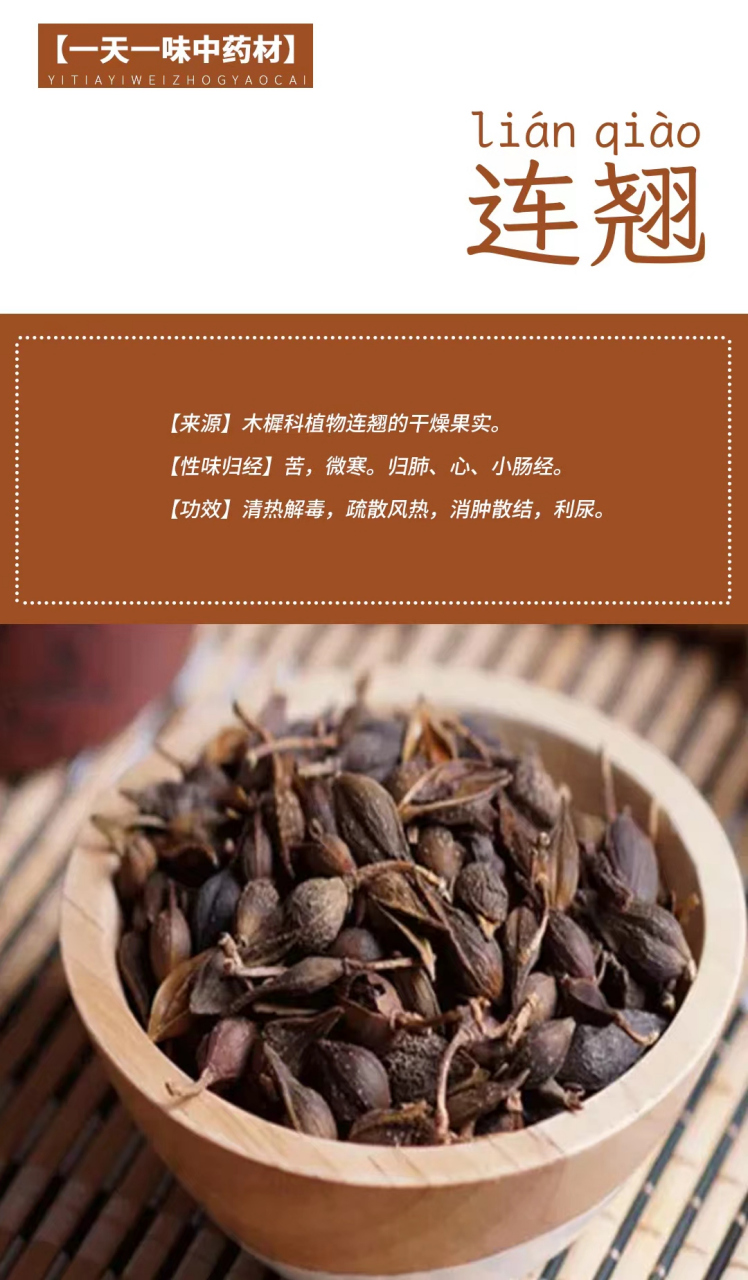 连翘 【来源】木樨科植物连翘的干燥果实. 【性味归经】苦,微寒.