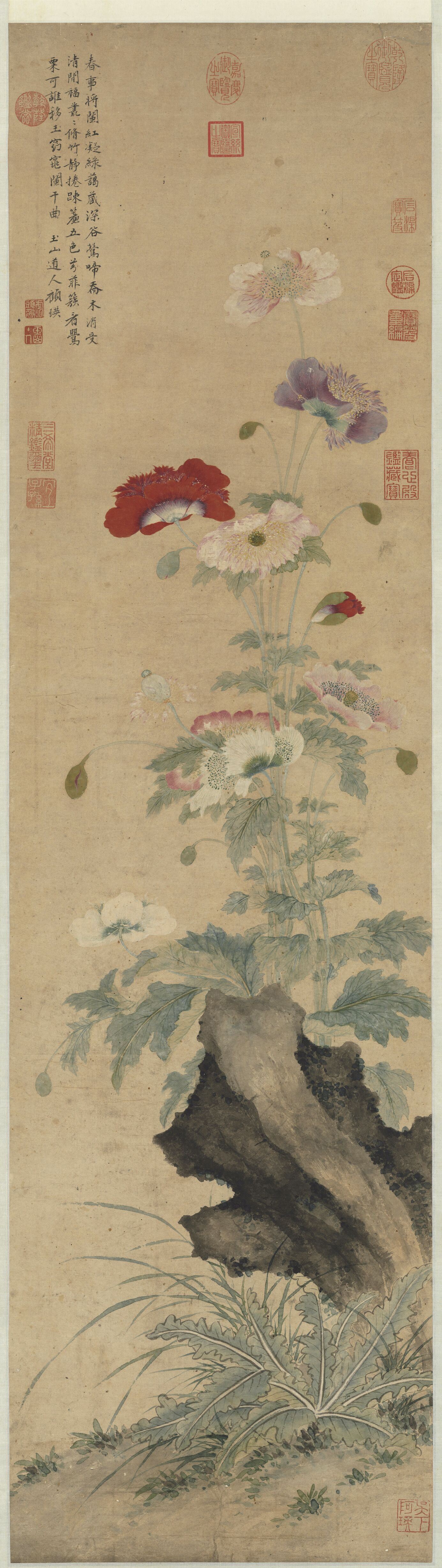 顾瑛《罂粟图》 画罂粟花丛,下衬磐石茸草