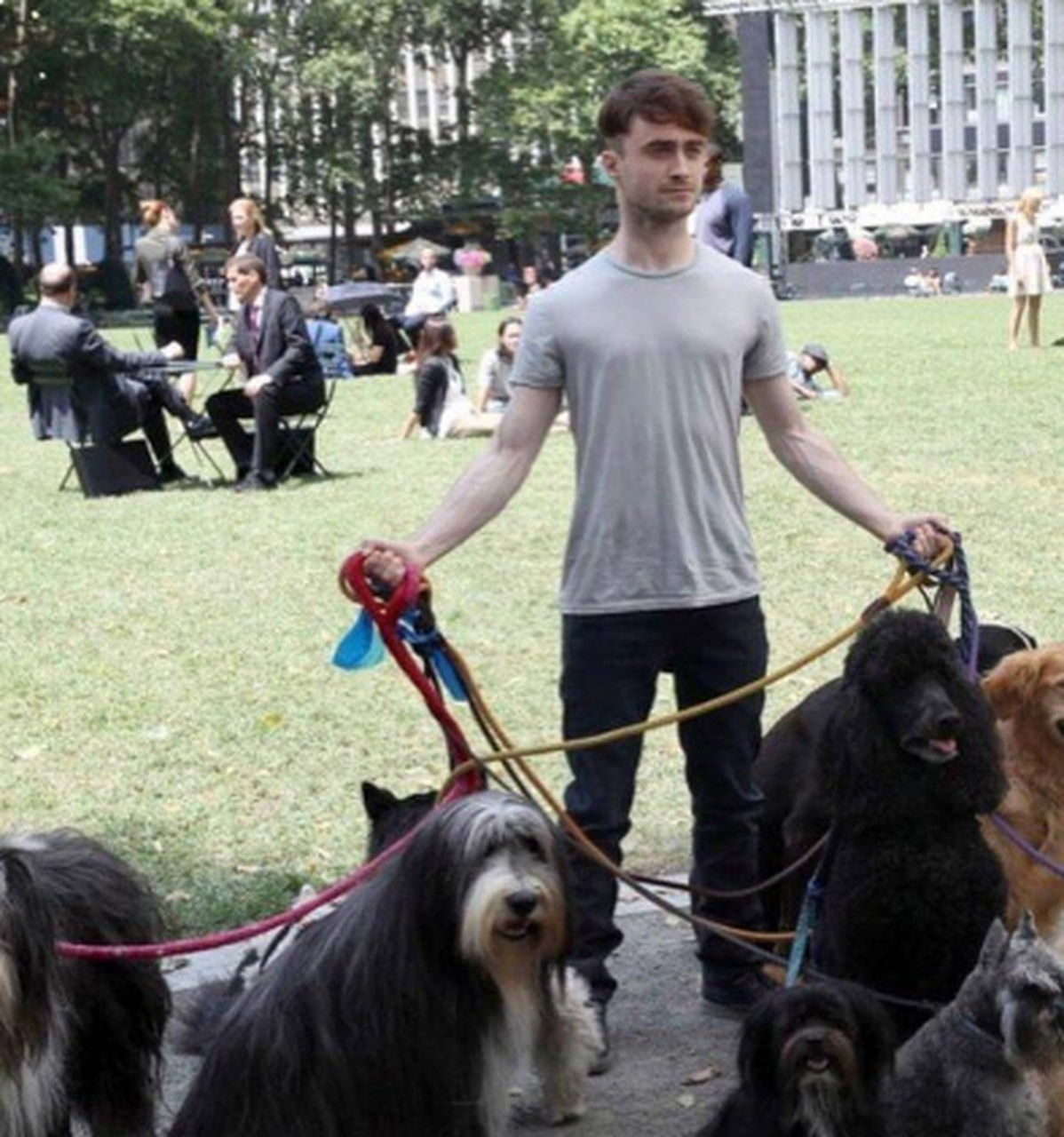 哈利波特的硬核遛狗!