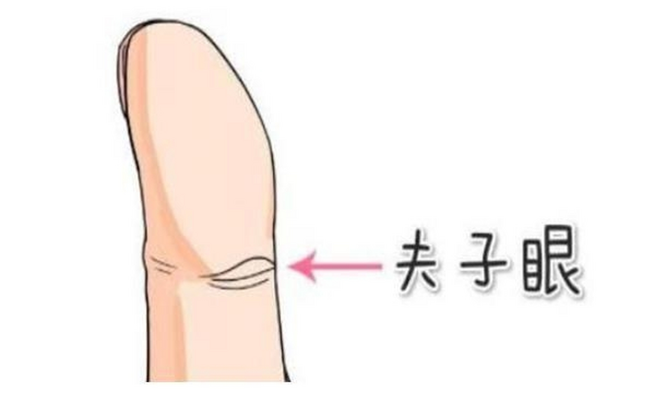 左右两手都有"夫子眼"最好,左手代表前半生,右手代表后半生,就算只有