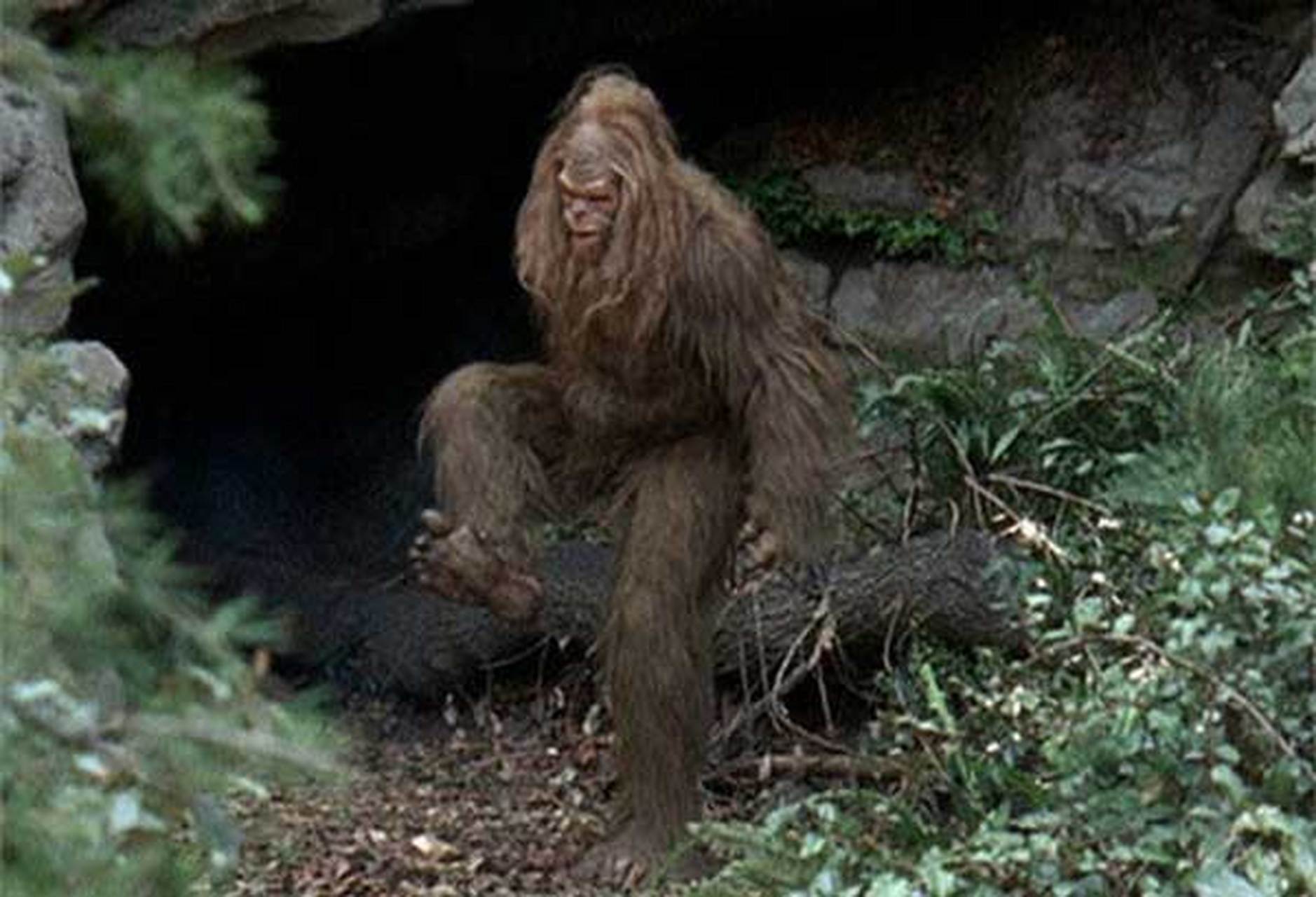 大脚怪也被称为大脚野人,传说这种身上长满了毛发,像猿一样