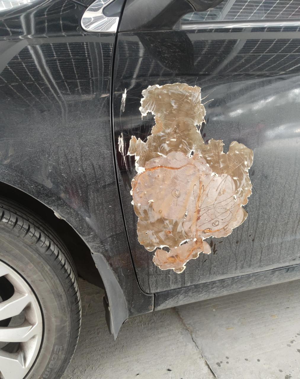 自己动手补车漆14元就够了 买的腻子粉,固化剂加多了,一分钟就变硬了