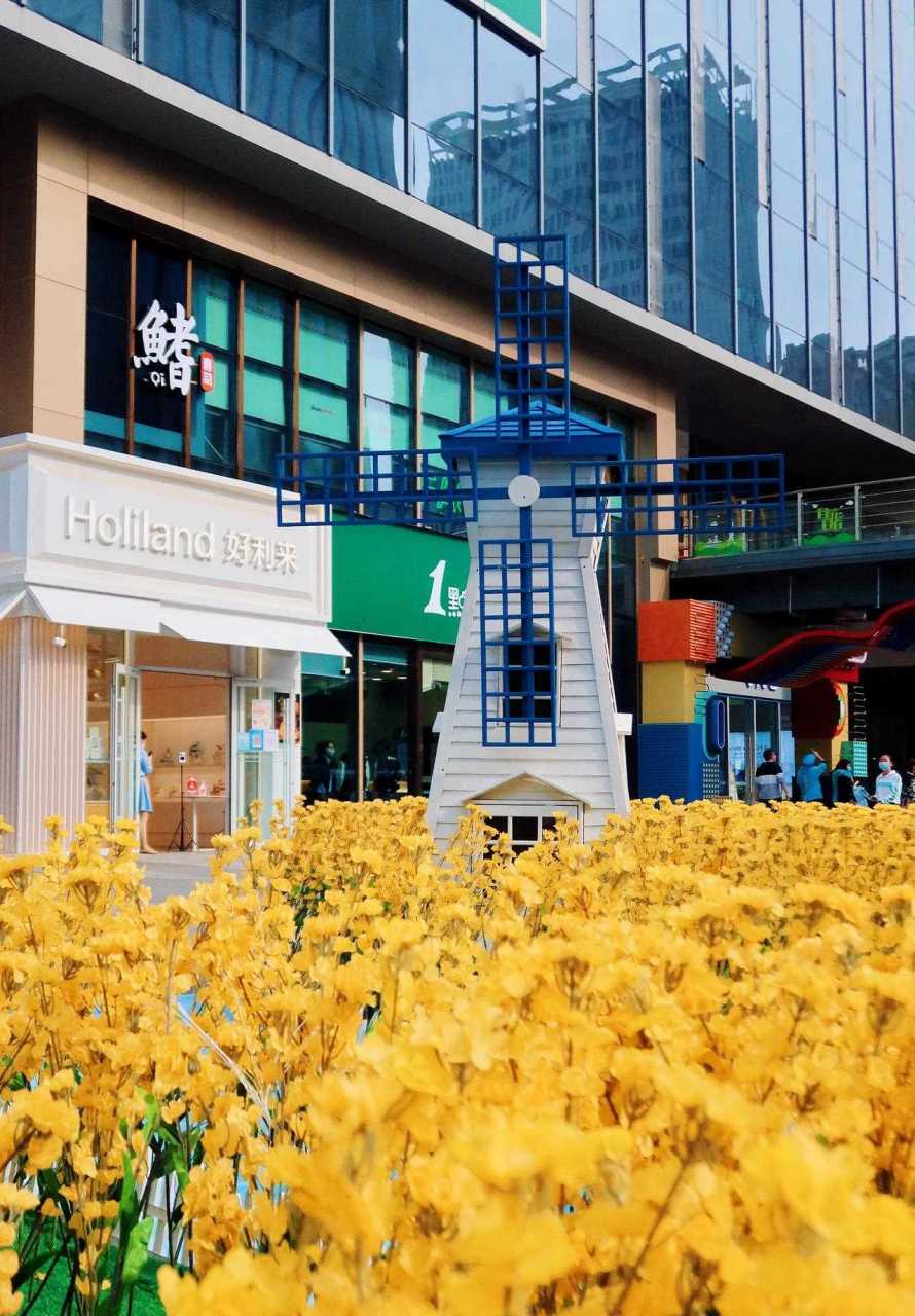 自游自在荣民时代广场 逛商场也能赏到油菜花田,绝美光触手可及逛吃的