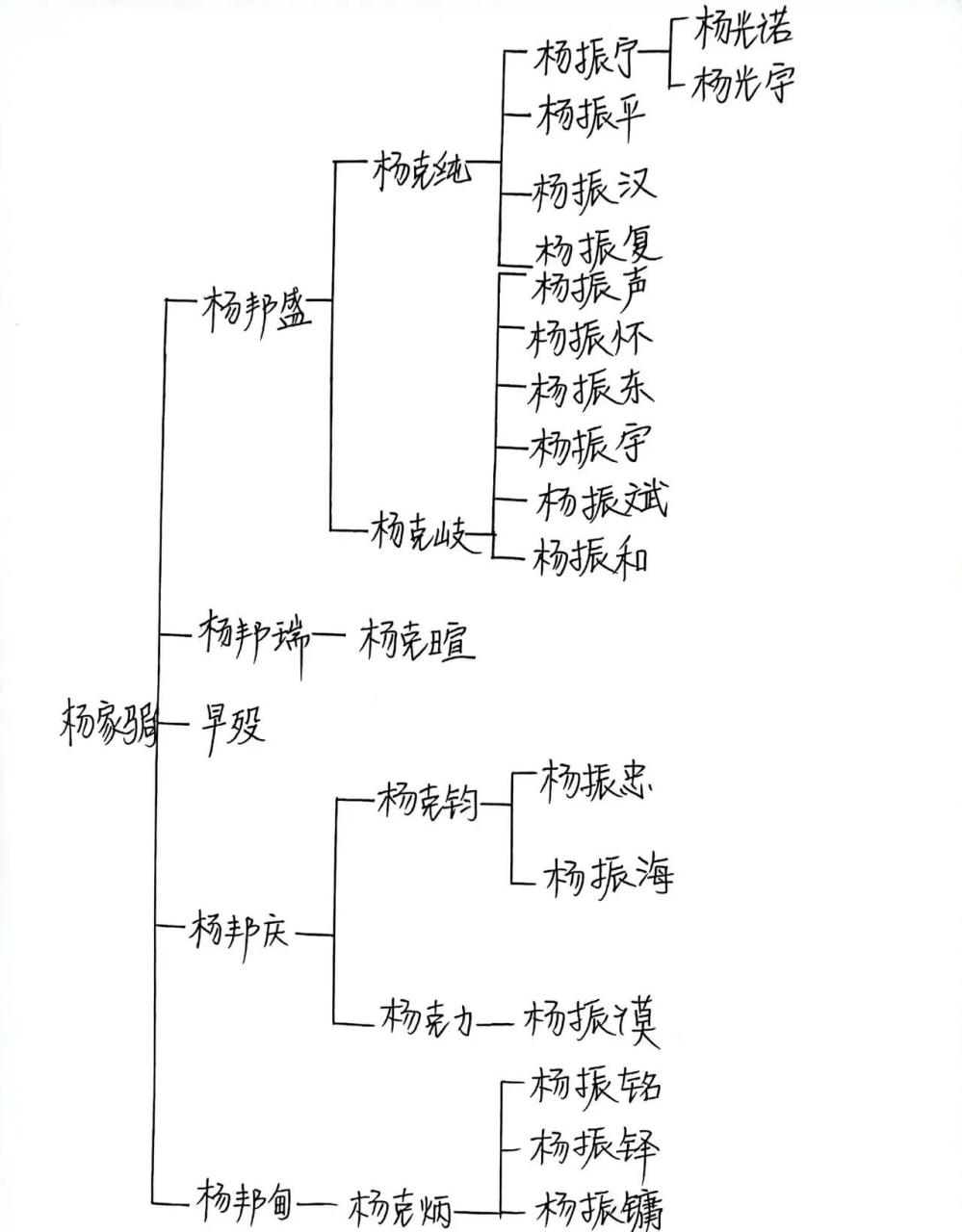 初中家谱图图片