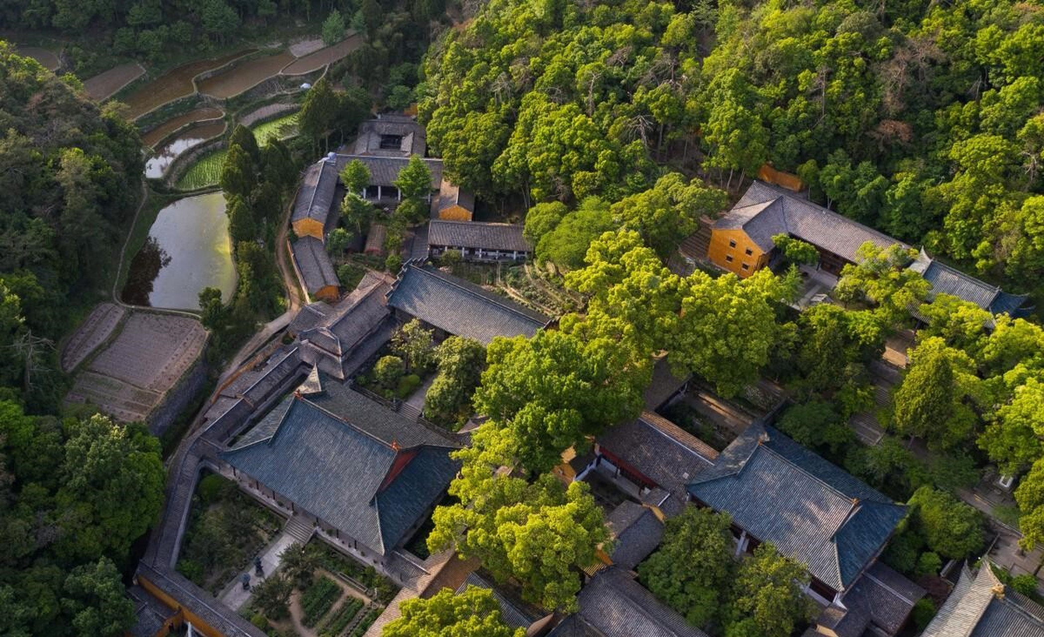 参天大树层层笼罩的国清寺才是它