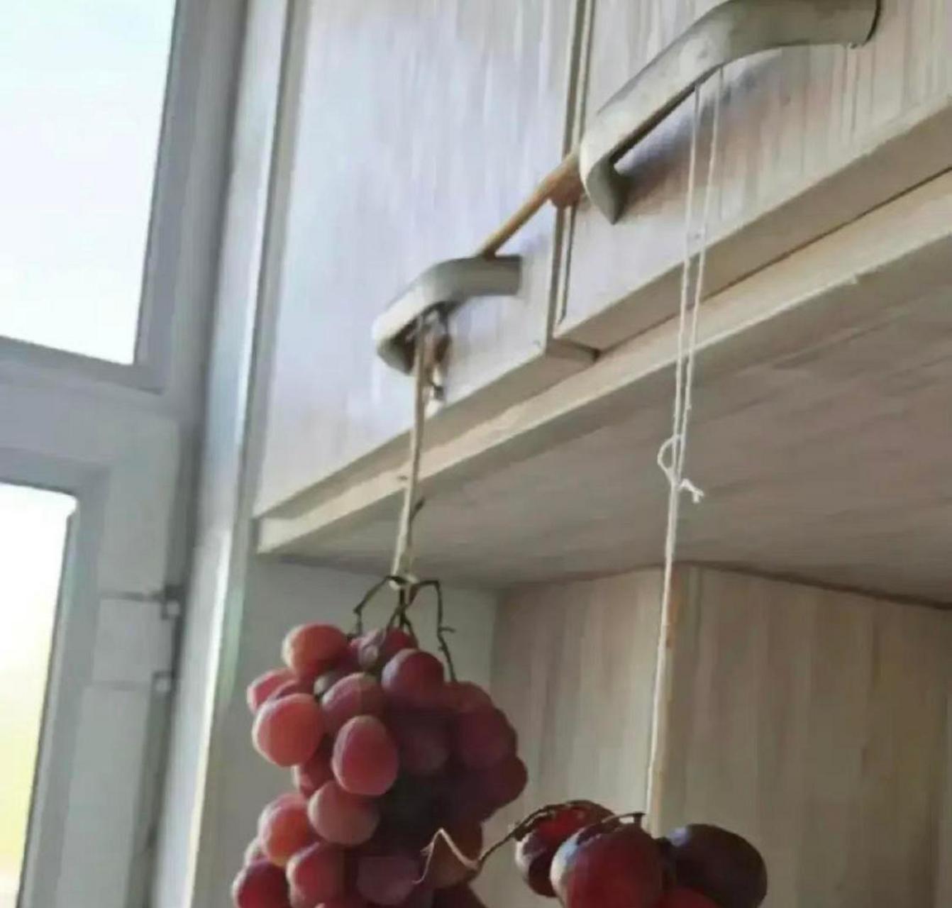 自制葡萄干 #搞笑趣味图