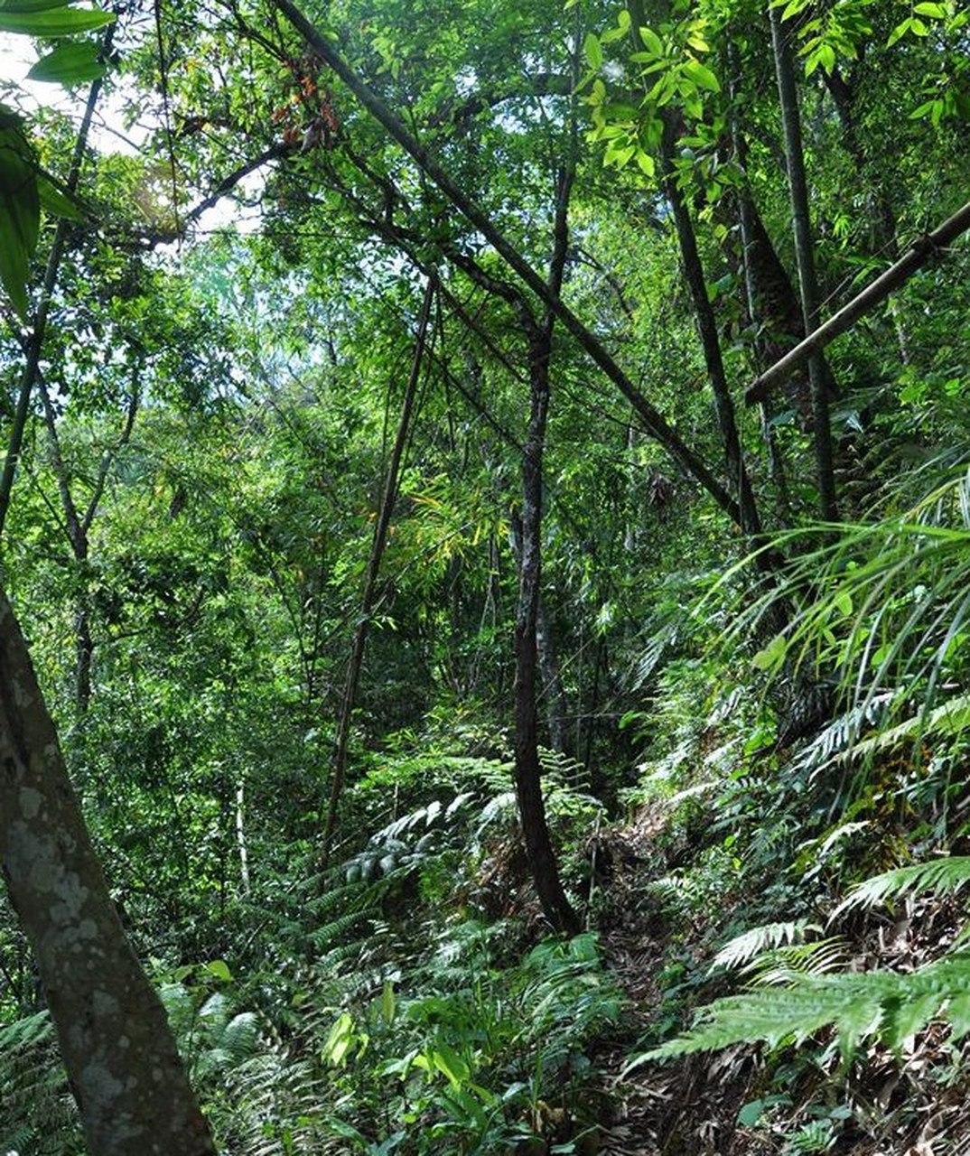 同庆河,也叫铜菁河.