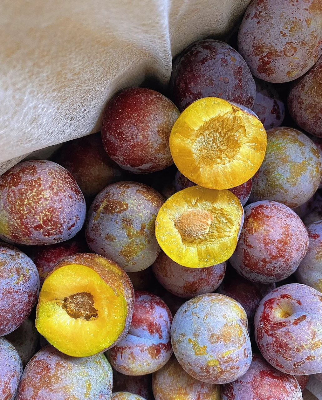 汶川脆红李,果肉饱满,香甜爆汁 咬一口,就能感受到四川阳光的味道  果