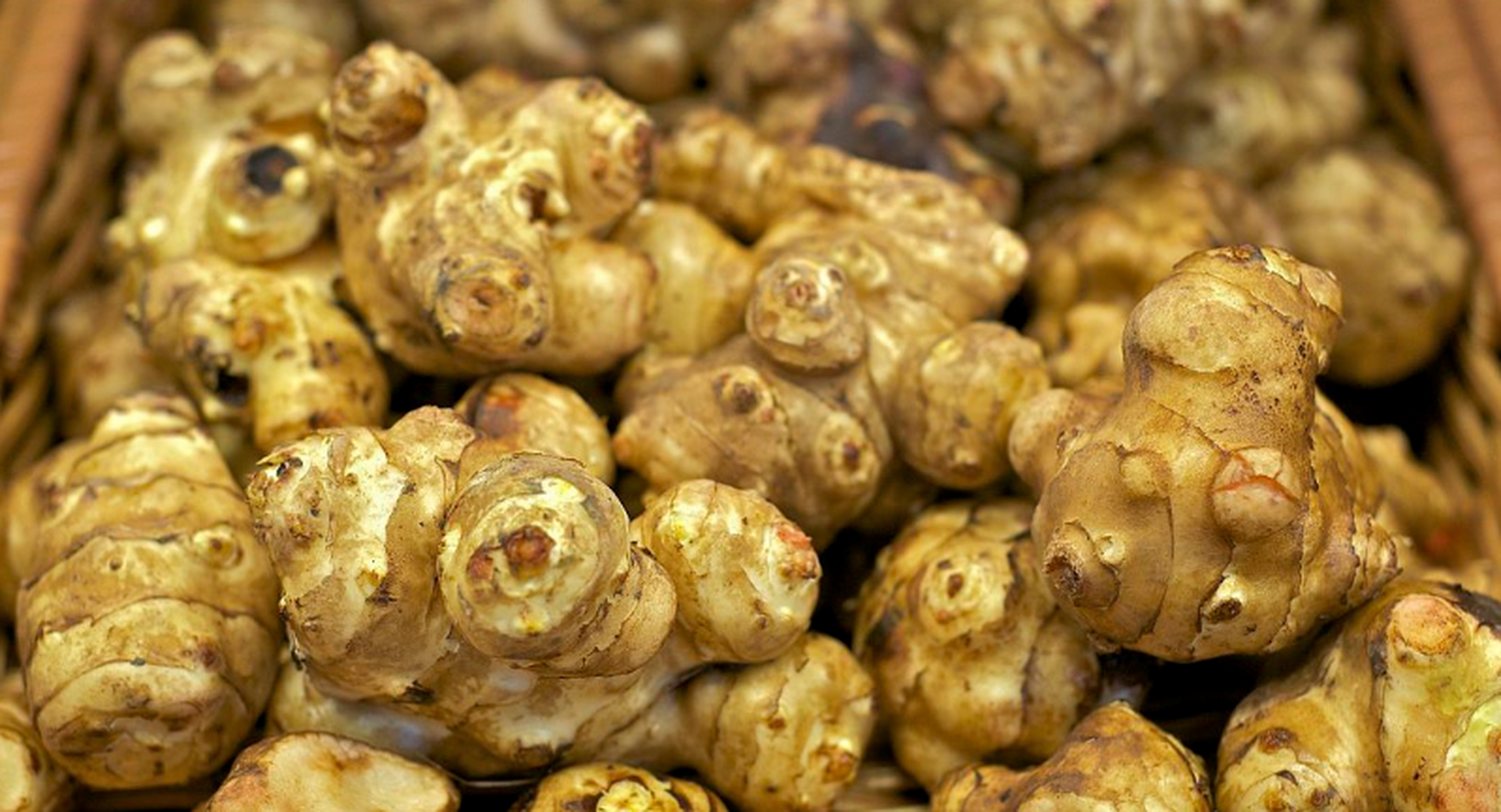 洋姜的功效与作用禁忌  洋姜,又名菊芋,鬼子姜等,是一种常见的食材和