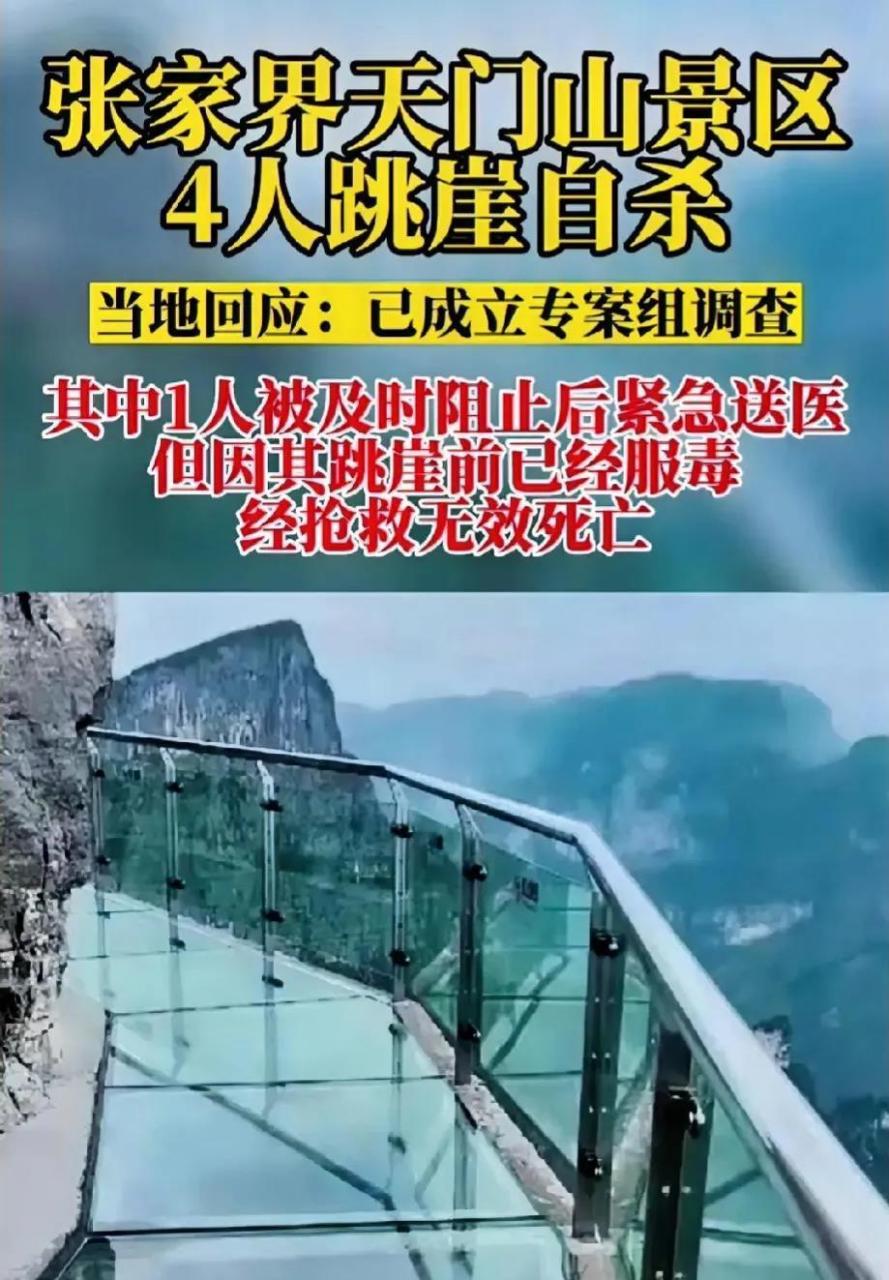 选择张家界玻璃桥上跳崖的三男一女,事前都先喝下了毒药.