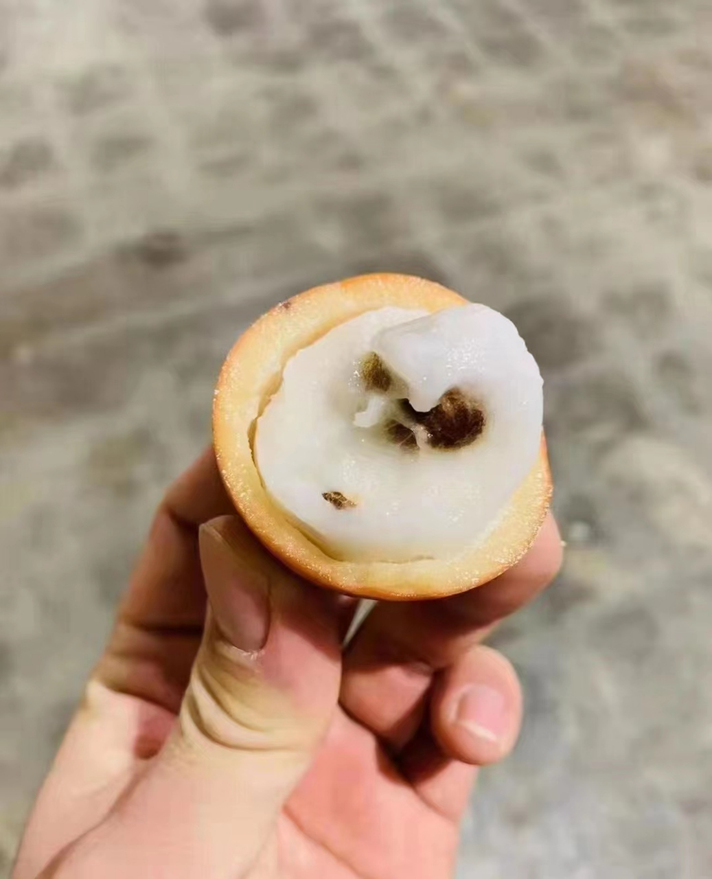 澳洲黄金山竹: 阿恰恰巴拉圭的当地语言意指《一个蜂蜜似的吻》 长相