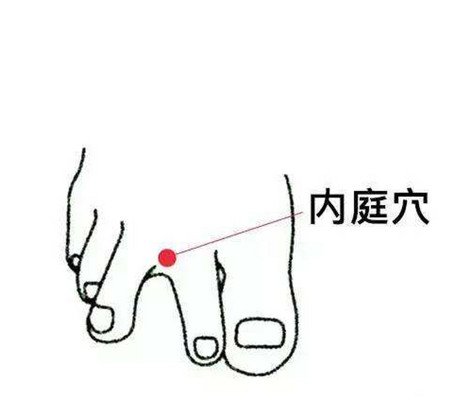 脚部一穴位,每天按压10次,对降血压有好处  今天我们来聊一下一个有助