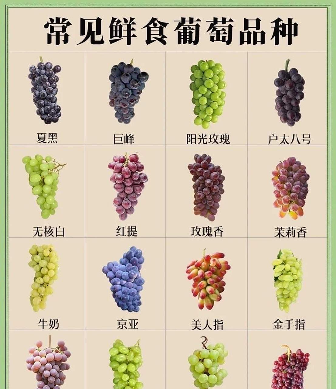 你知道葡萄有多少种种类么?