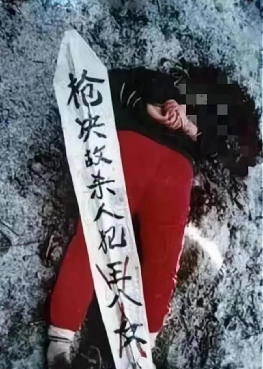 1992年冬天,河南偃师郊外,一个女人刚刚在冰天雪地里被枪决,法警把