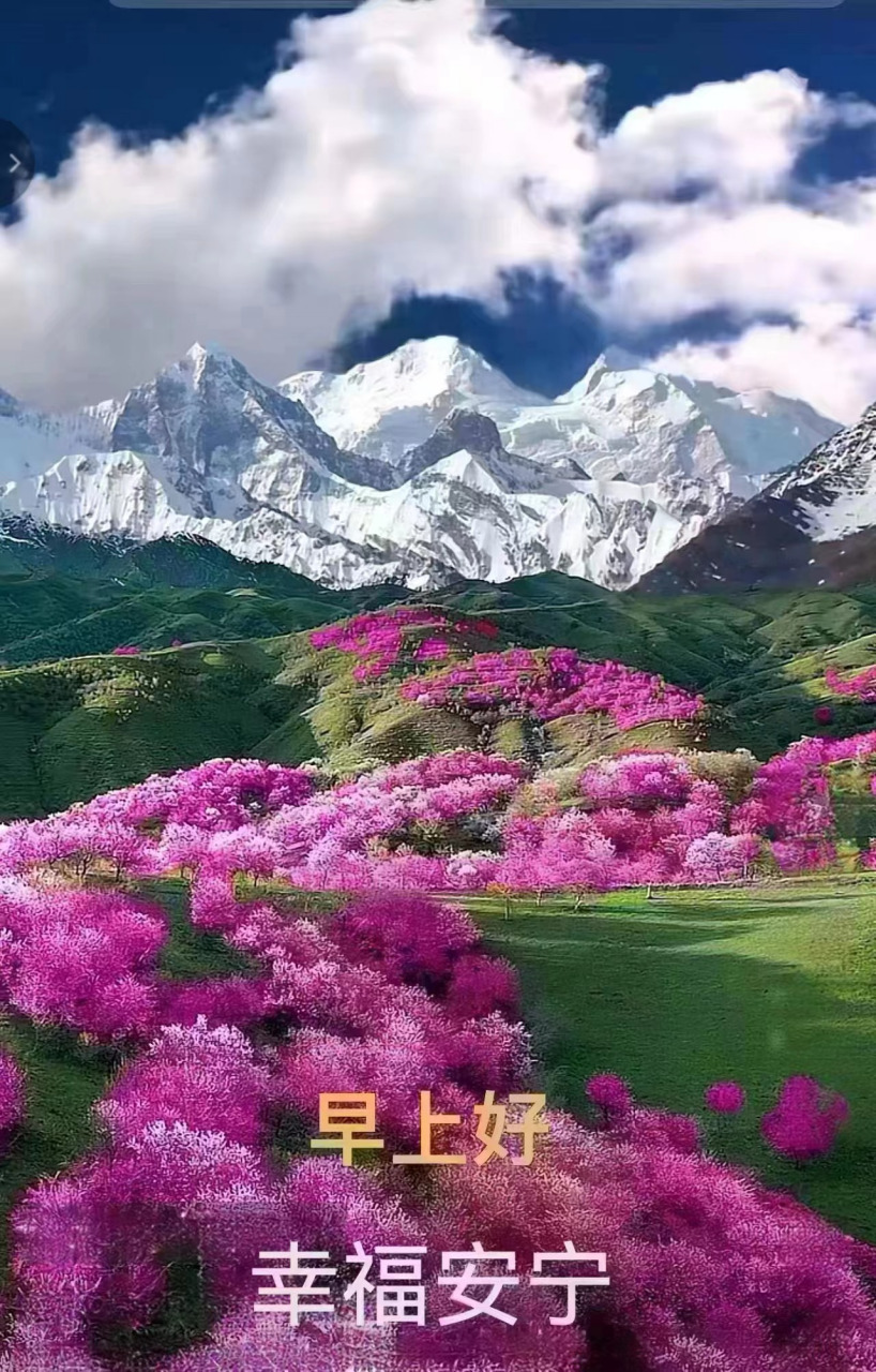 晨语祝福:缠绵的雨声,敲开了夜的窗棂,唤醒了沉睡的黎明,开启新一天的