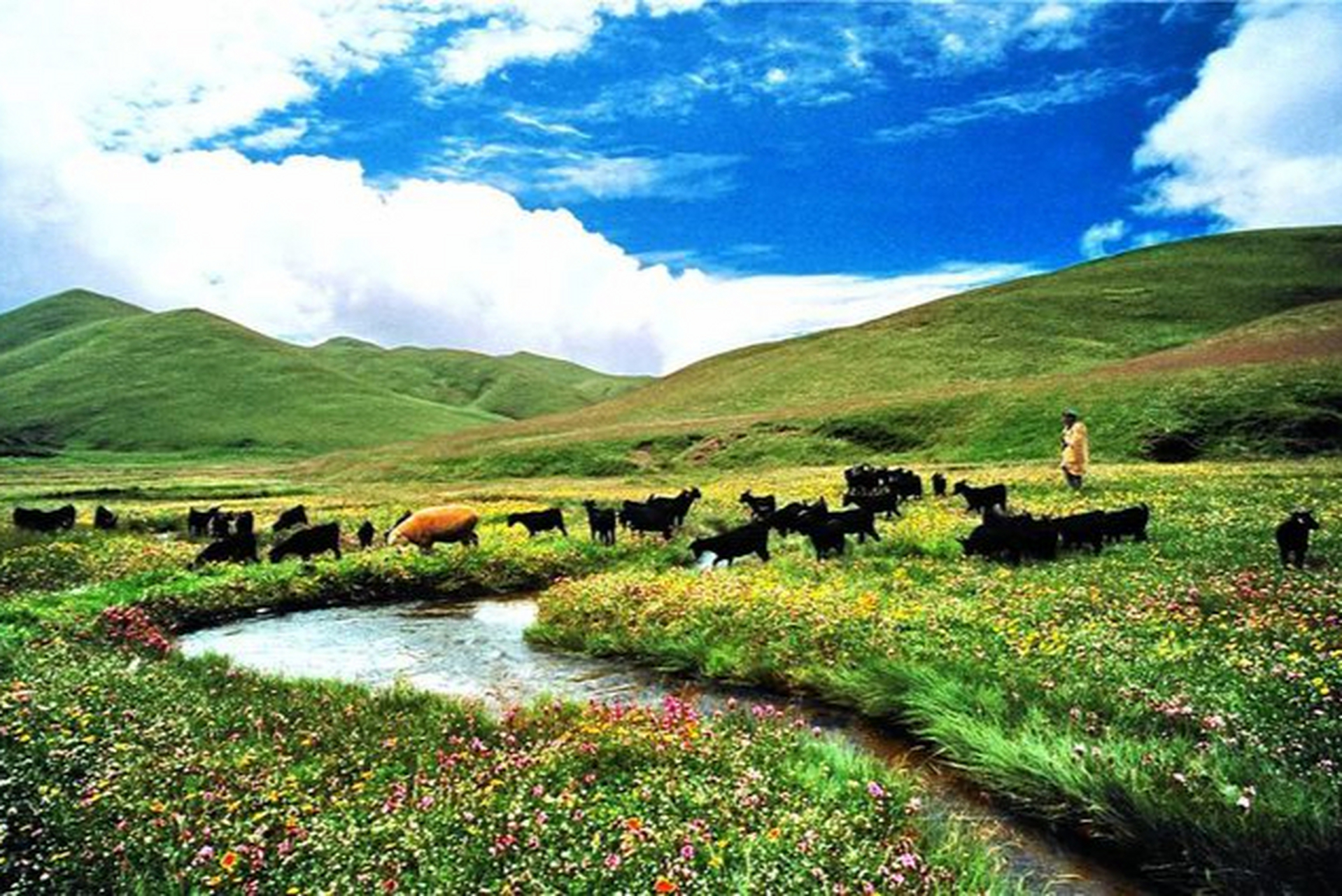 春天和夏天,大海草山仿佛把你带到了蒙古大草原的深处,满眼都是无尽
