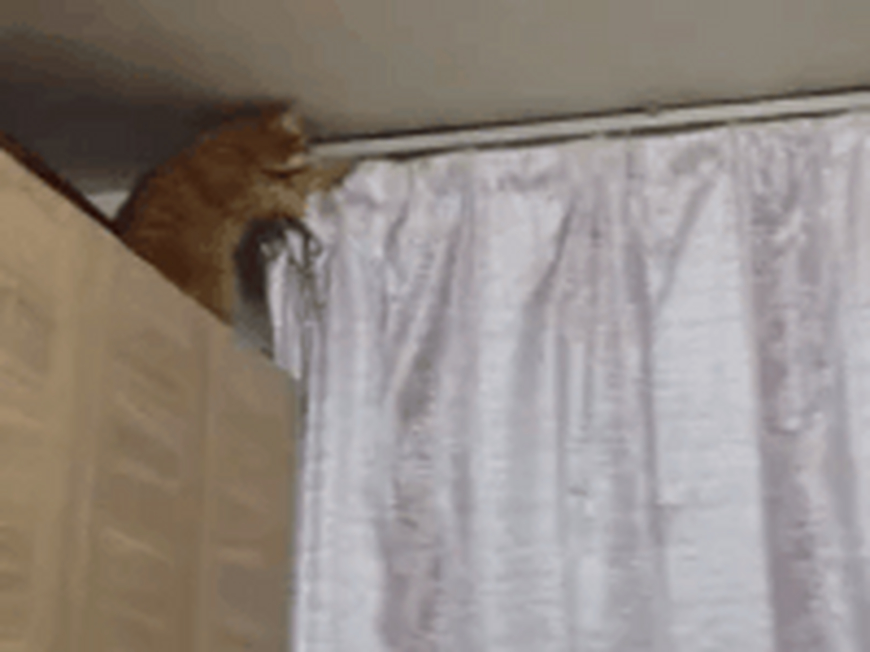 搞笑gif动图:第一张太逗,拉什么窗帘,睡什么觉,起来嗨呀!