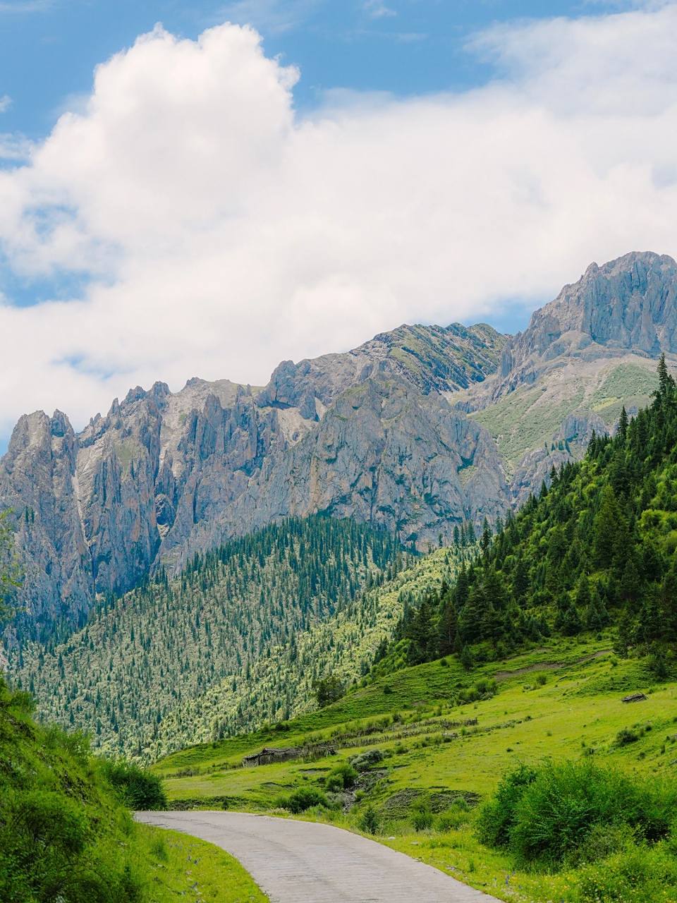 去川西 川西高原的风景是美丽的 川西夏天和秋天都很漂亮,也非常值得