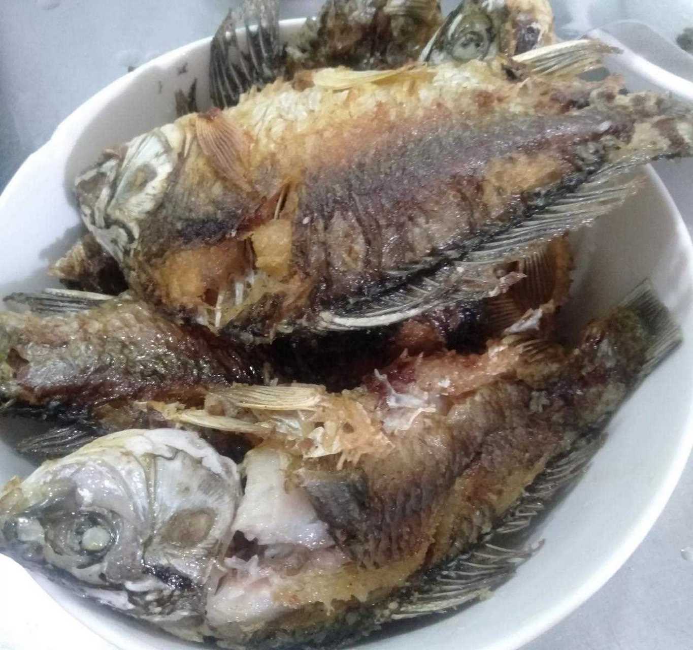 这个鲫壳鱼真没得吃常,又费时,刺有多.[666] 大家有没有同感?