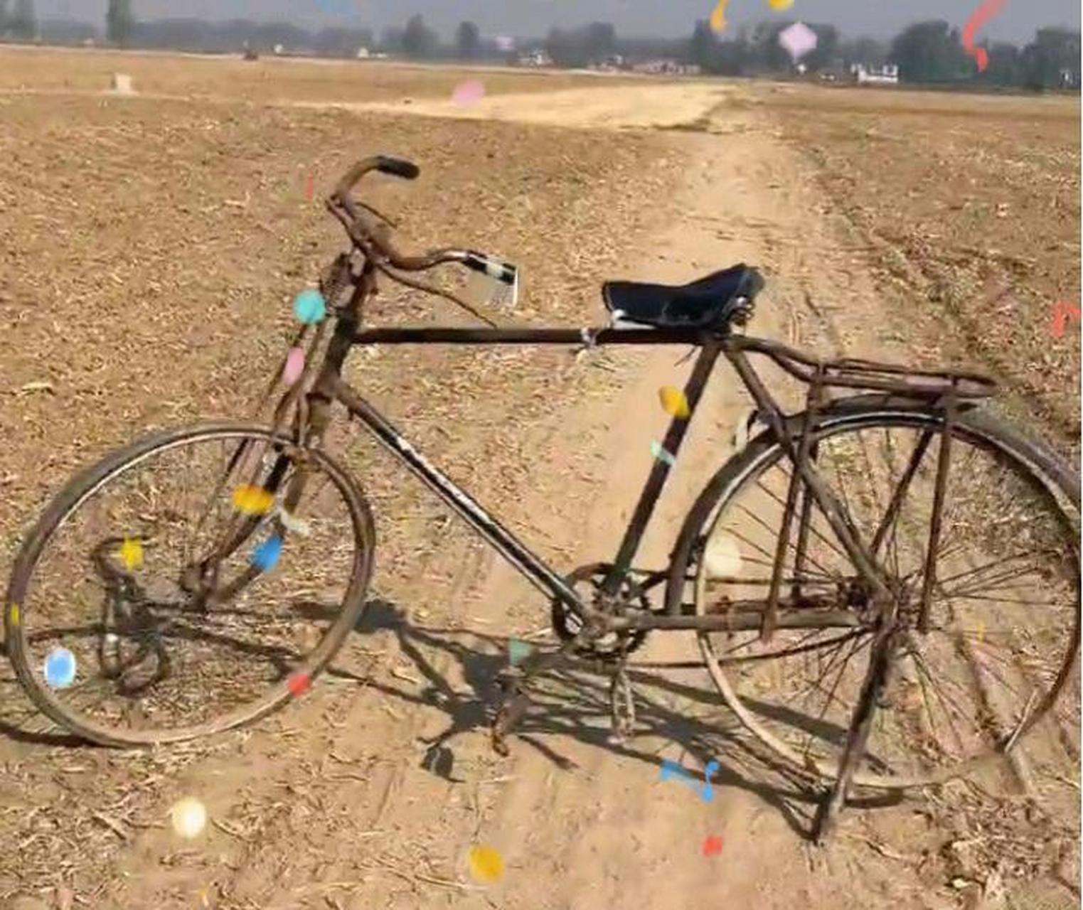 小时候最爱的自行车,家里的老物件 #搞笑趣味图