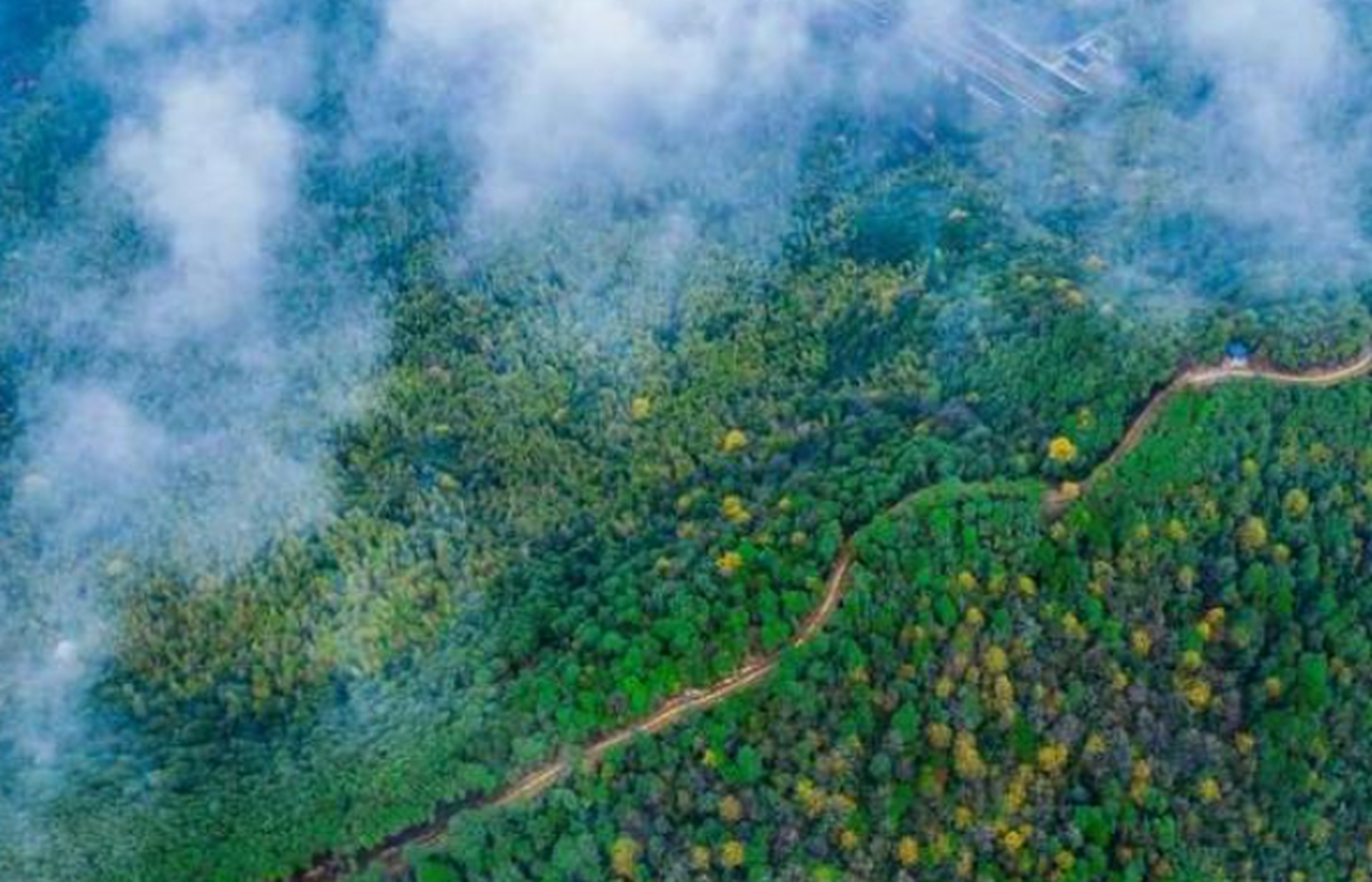 萧山楼塔境内的百药山是当地的名山,百药山游步道起点位于楼塔镇岩上