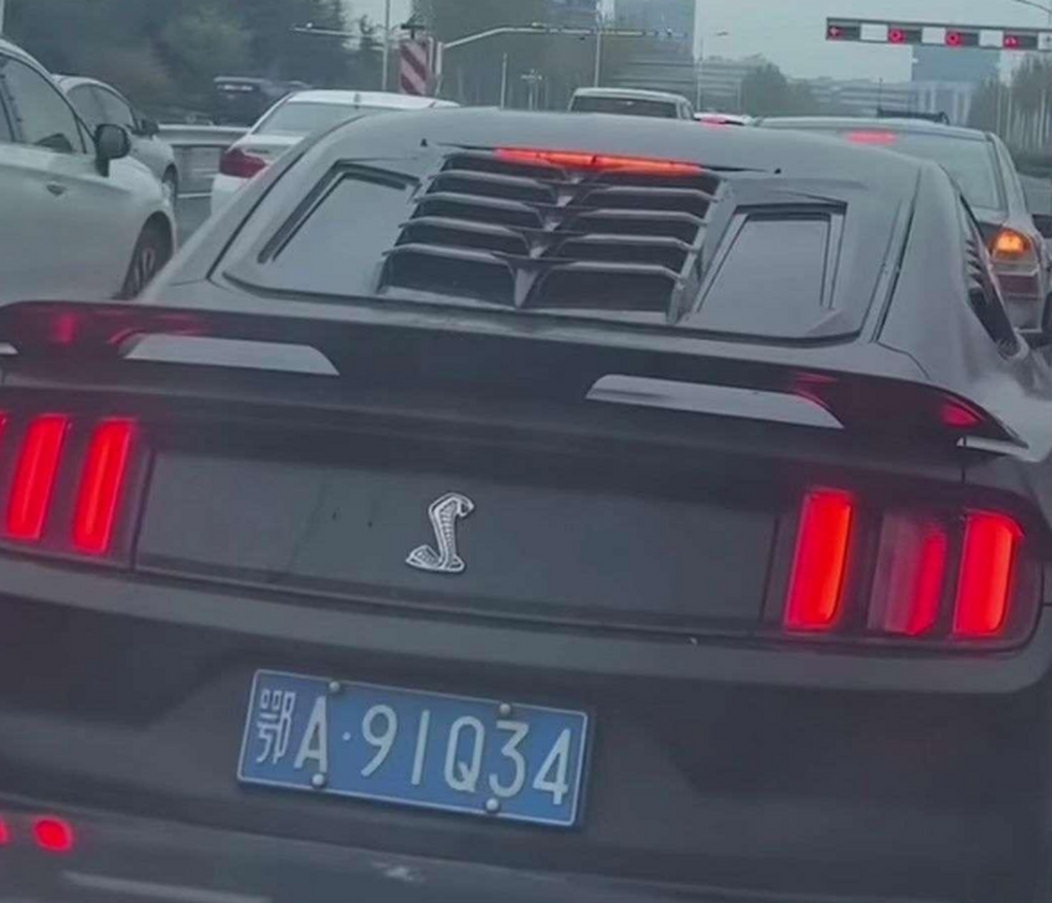 为了看清这个车标,差点撞上去,一条大蛇是什么车?