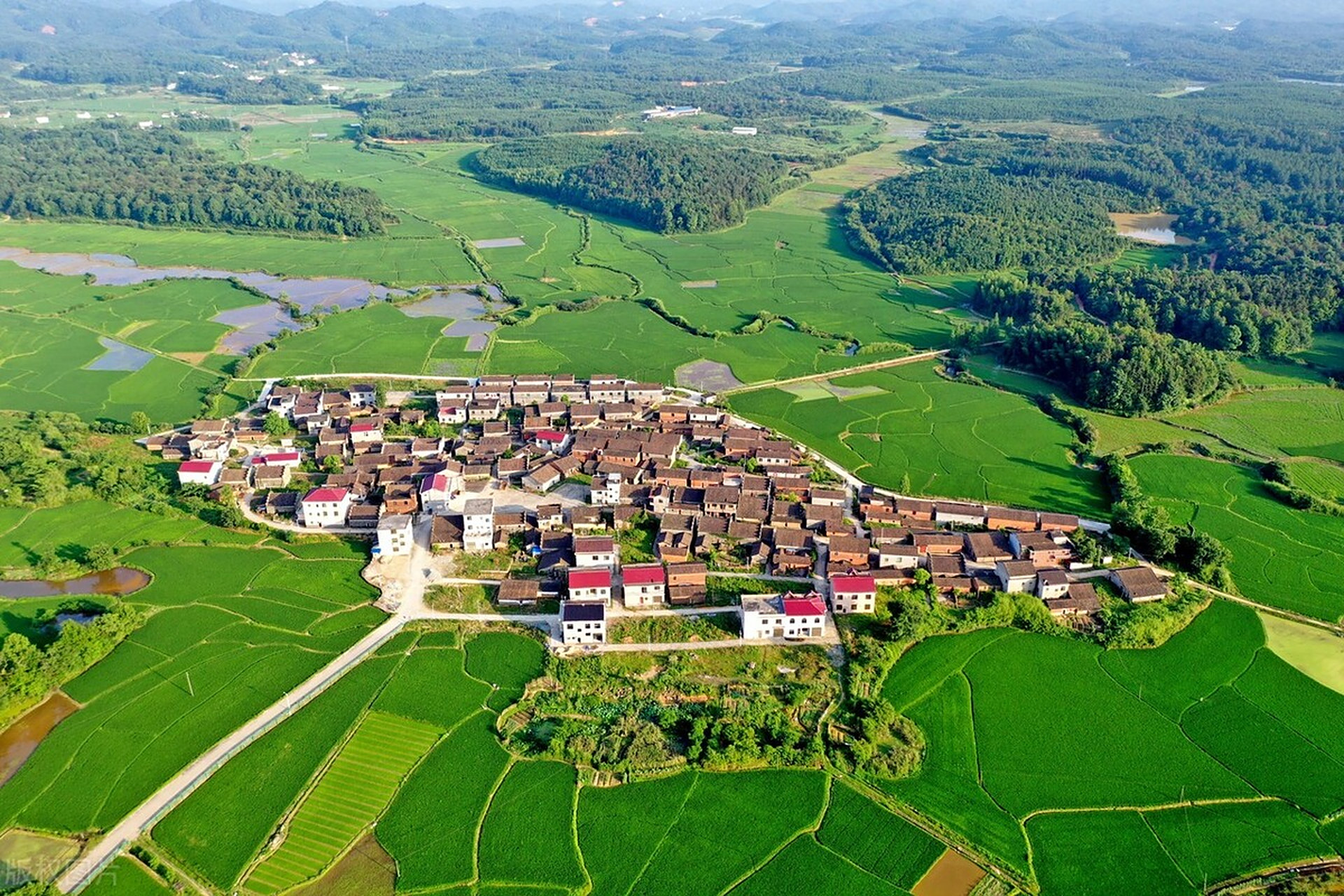 江西抚州金溪县左坊镇邓家村,屋舍俨然,林木繁茂,田园广阔,美如画卷