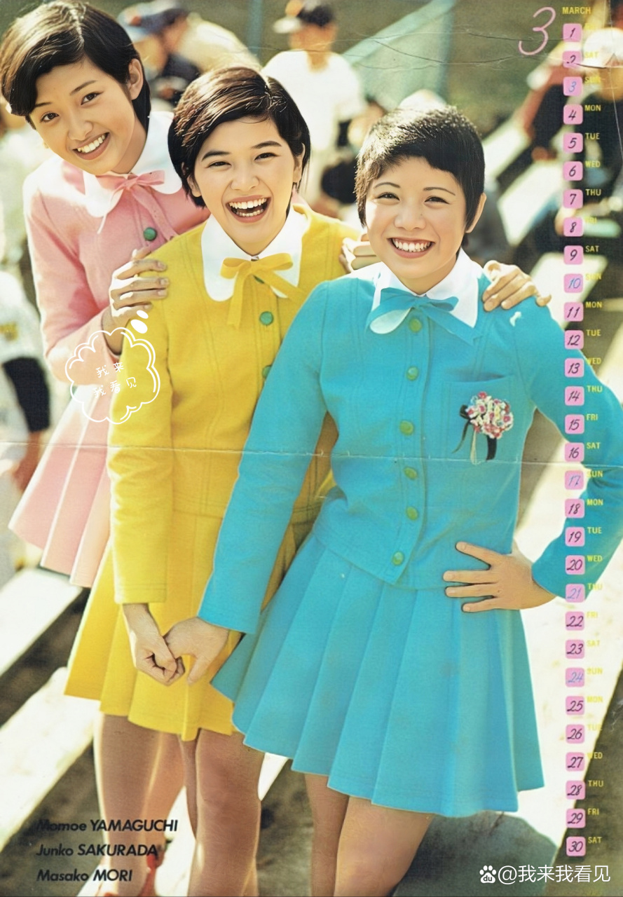 山口百惠,樱田淳子和森昌子是高中三枝花,她们是女团的鼻祖之一.